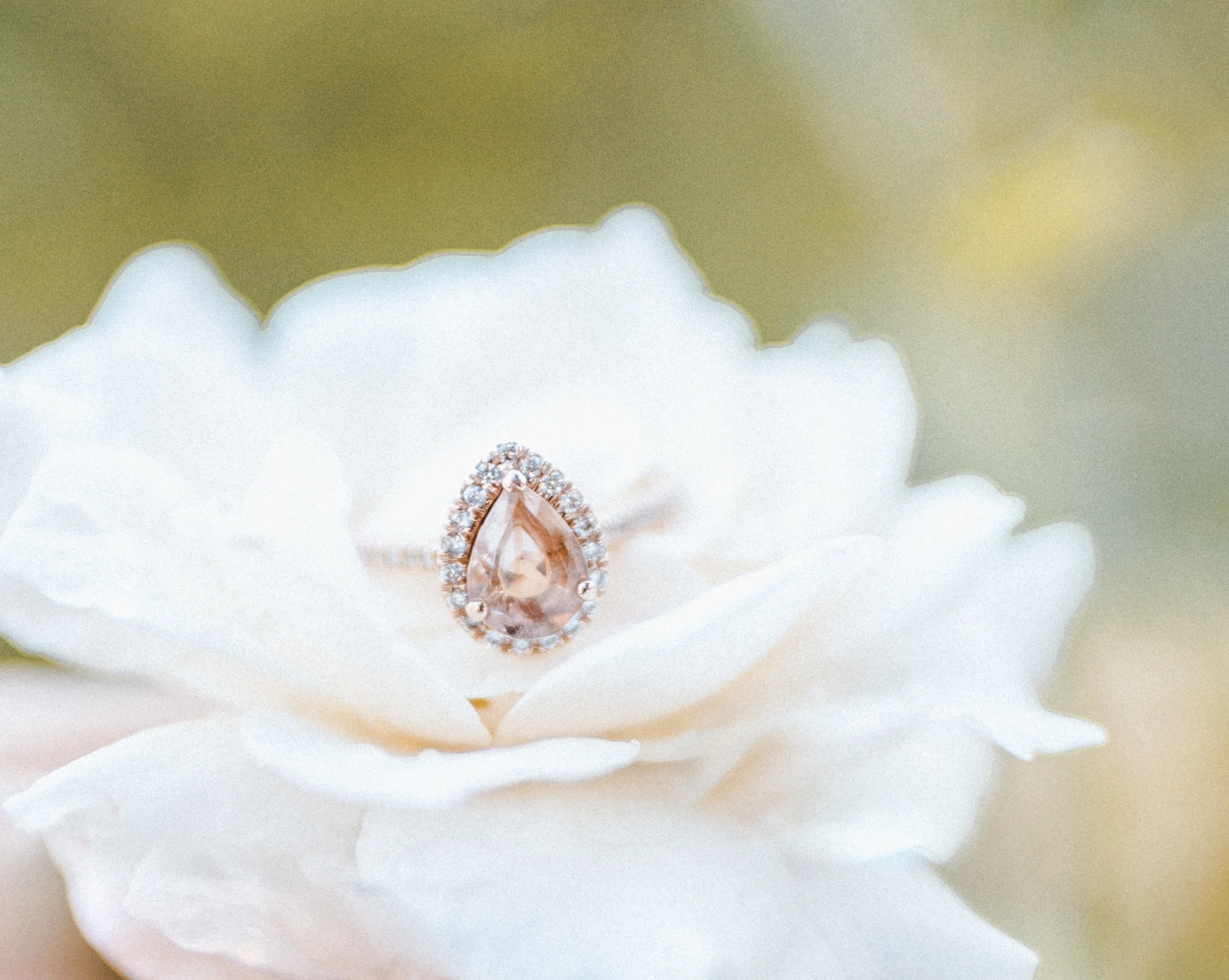 S&M Engagment-89.jpg