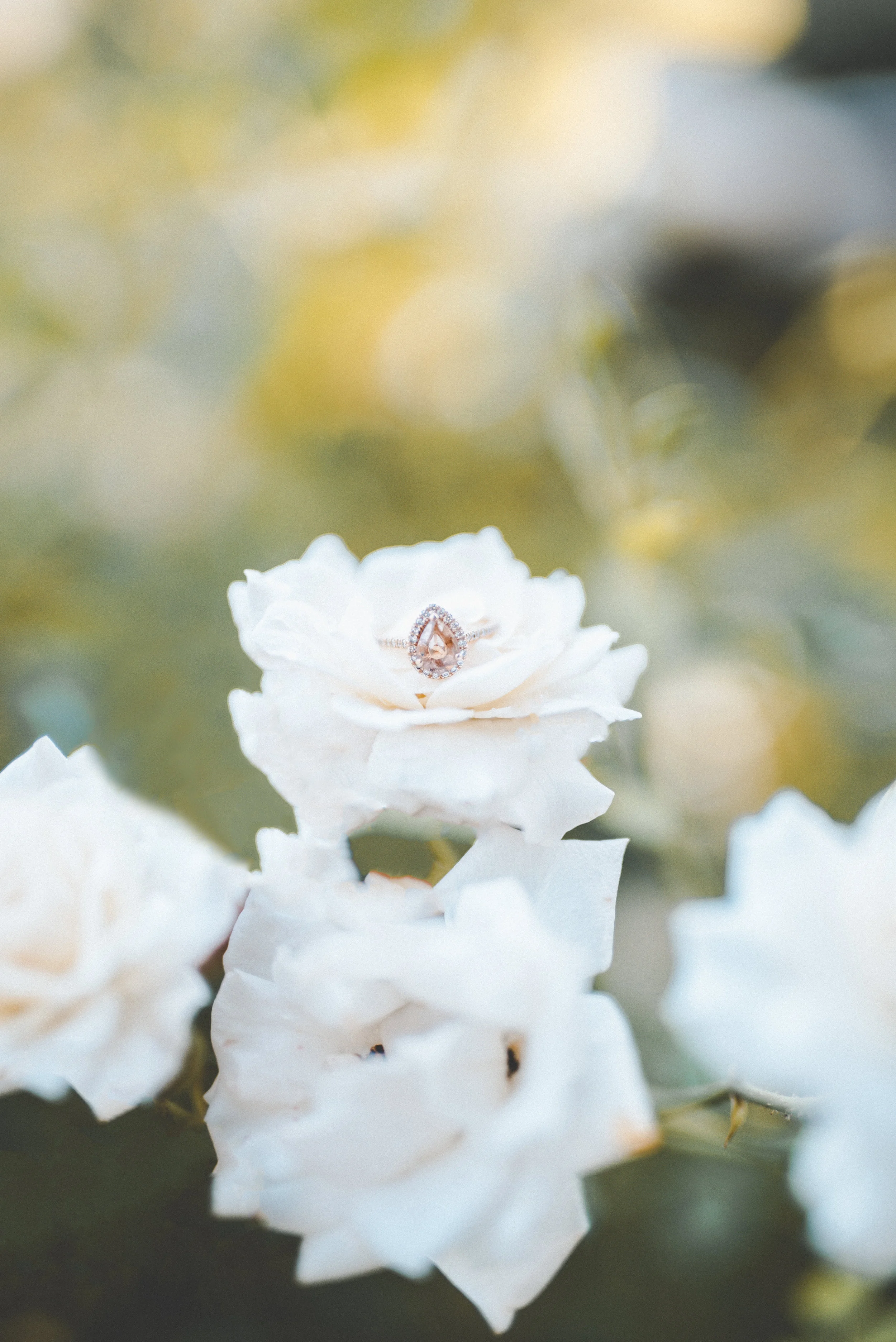 S&M Engagment-91.jpg