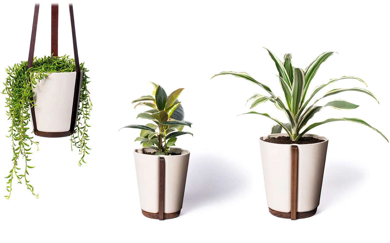AllPlanters_R1_72.jpg
