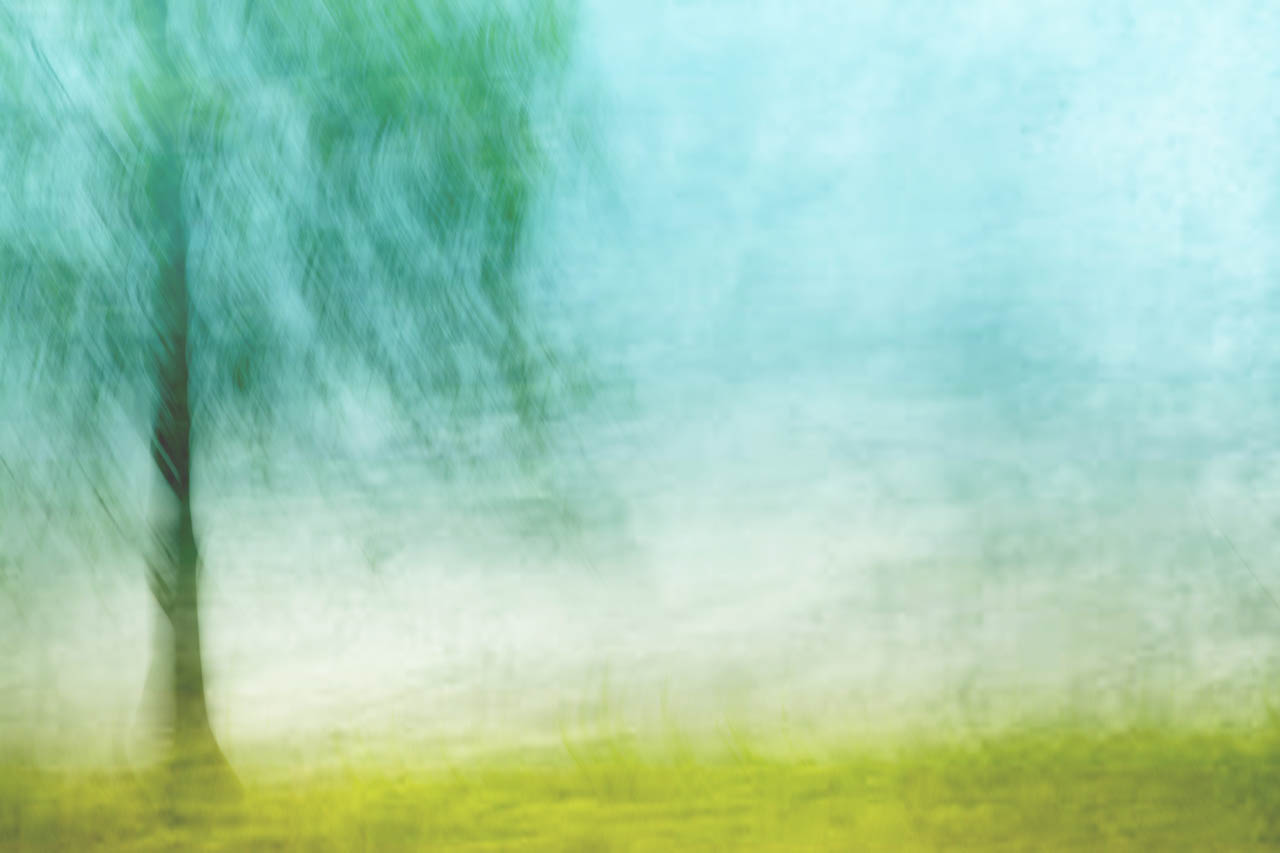 4z contest ORLANDO 088.jpg