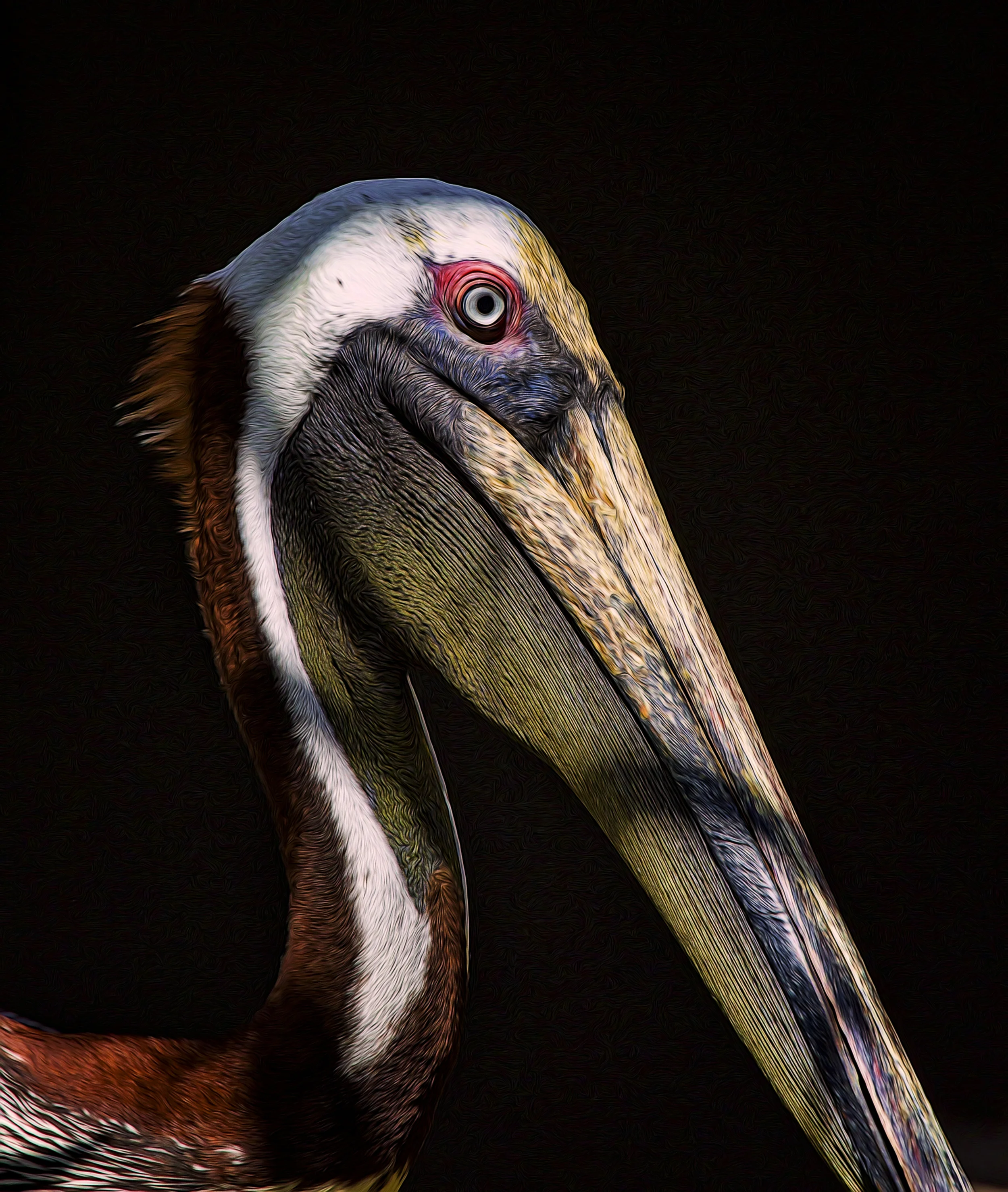 FLAMINGO GARDEN peligan217b.jpg