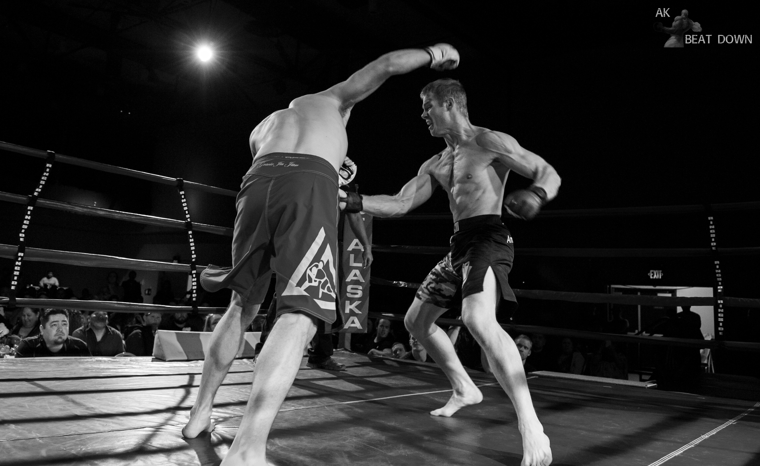 D7H_1372.jpg
