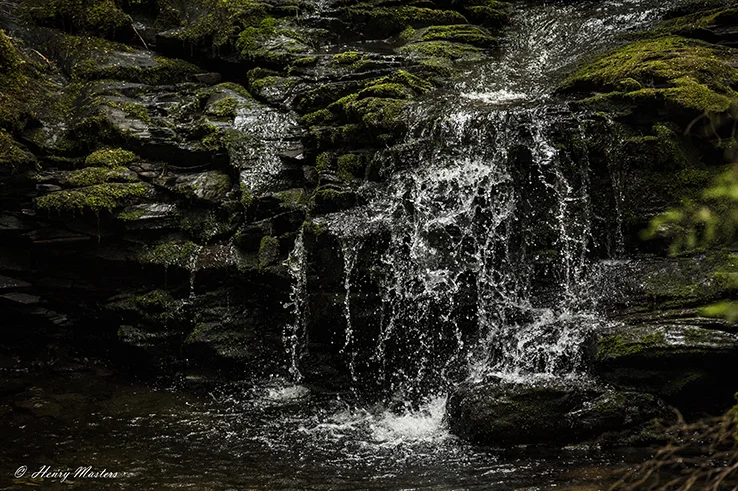Brook falls HD thumb.jpg