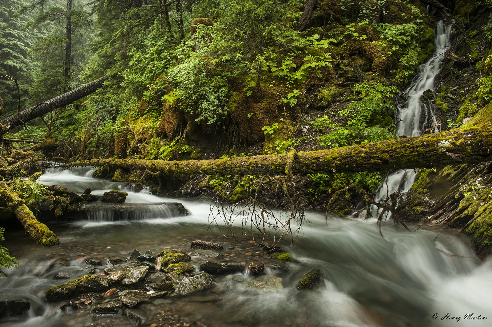 Headwater Stream HD thumb.jpg