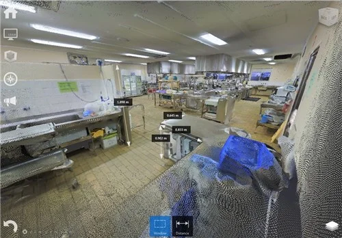 VirtualSite for Matterport users: automatic conversion of Matterport scans to point cloud. See for Matterport users for more details.