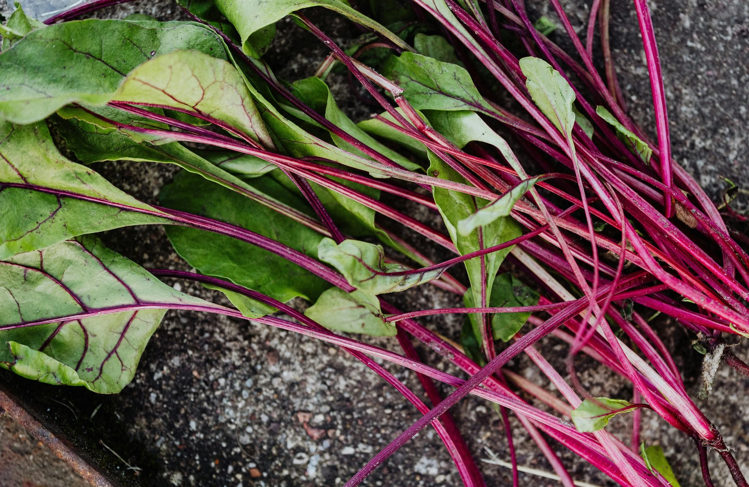 Beet tops