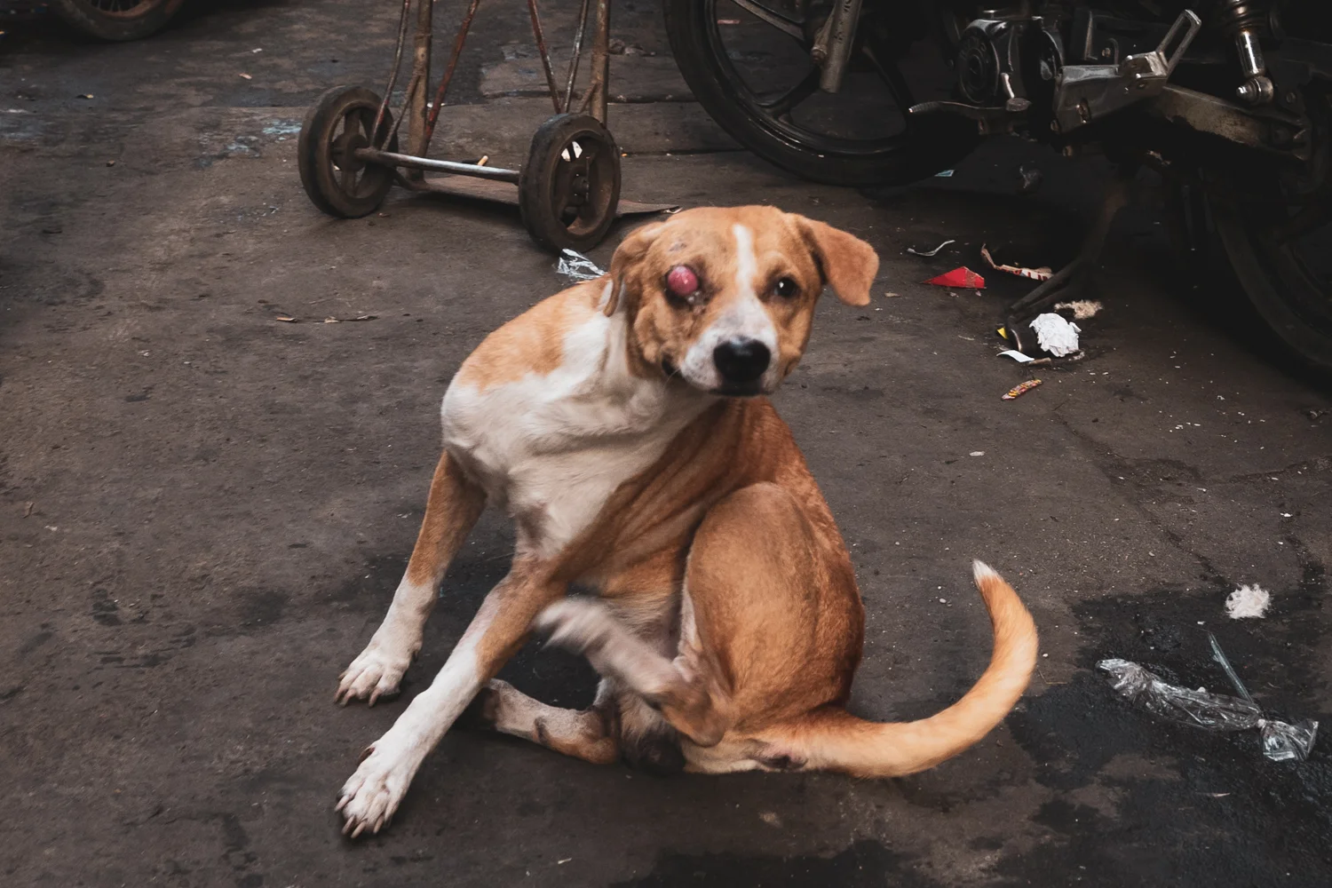 untitled-8.jpg