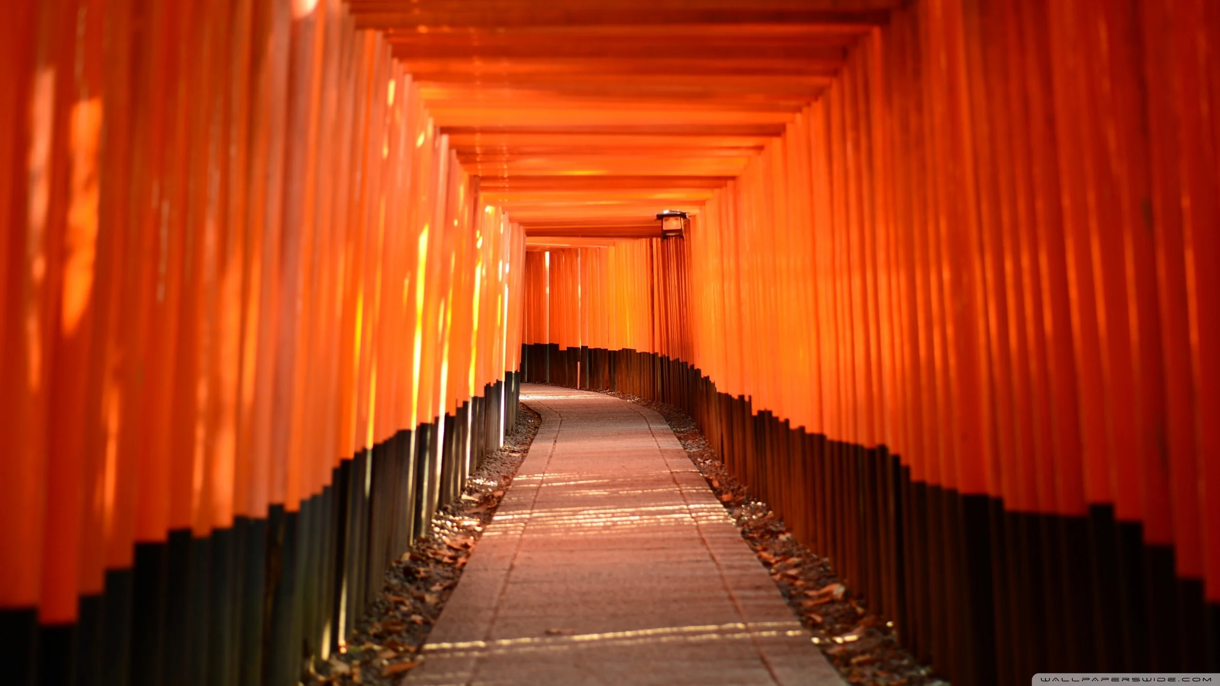 torii_leading_to_the_inner_shrine-wallpaper-2560x1440.jpg