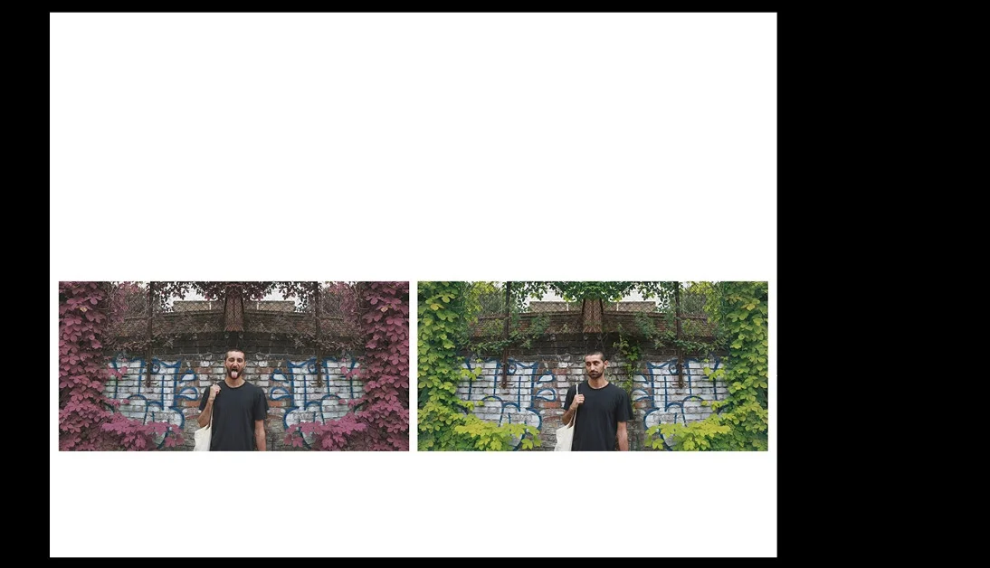 pirt.jpg