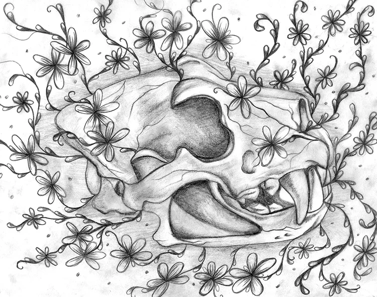 Sketch Floral Series