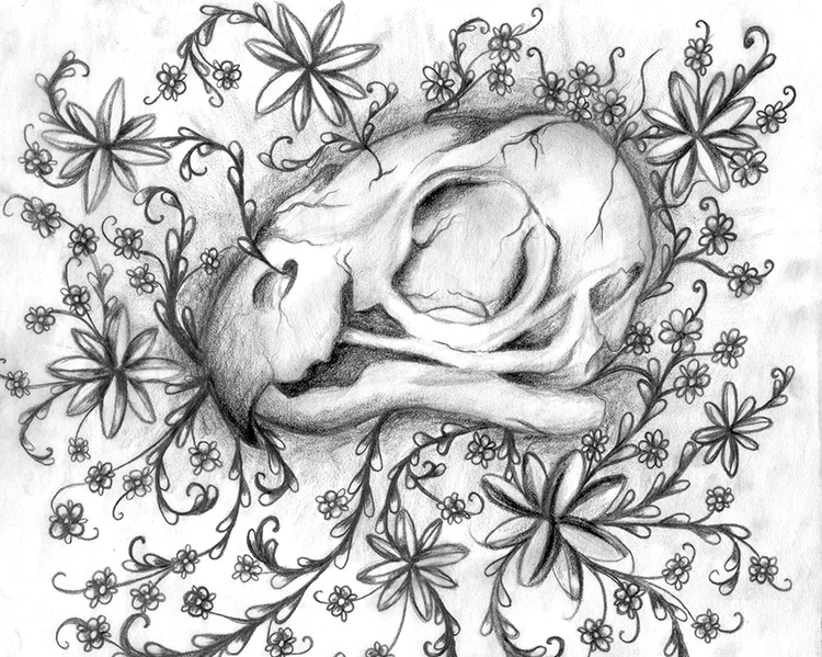 BirdSkullSketch.jpg