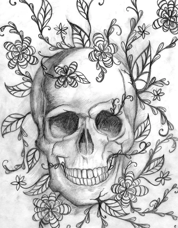 HumanSkullSketch.jpg