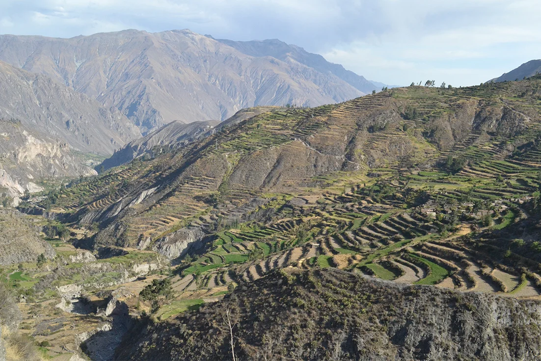 Friends of Trail By Fire: Peruvians, Sicilians, Volcán Ubinas, and Soft Cheese