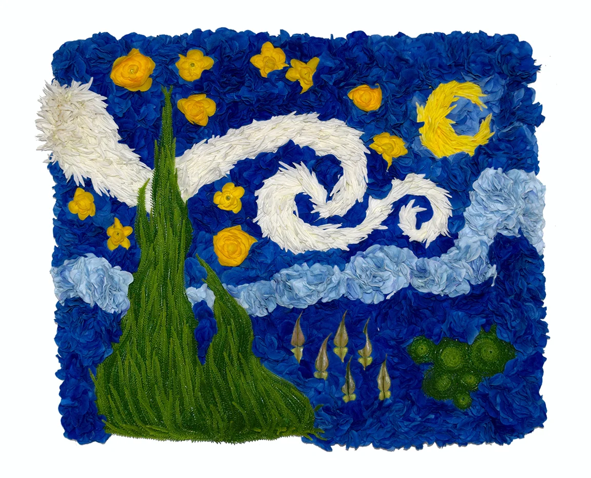  "floral swirl / starry sky" matt hollis 2016