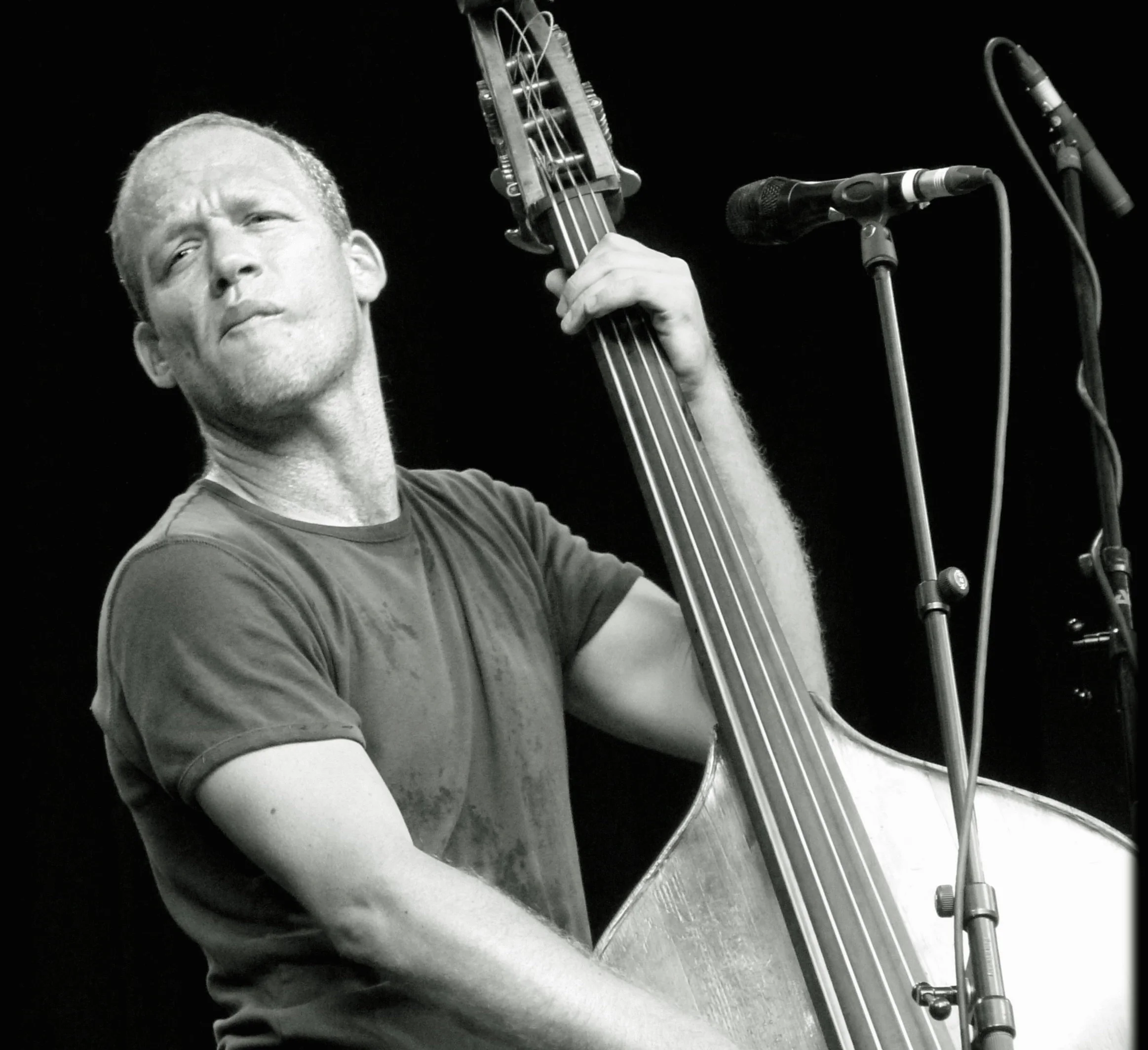 Avishai_Cohen_BFJ_1.jpg