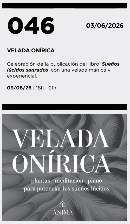 PLANTILLA WEB.png