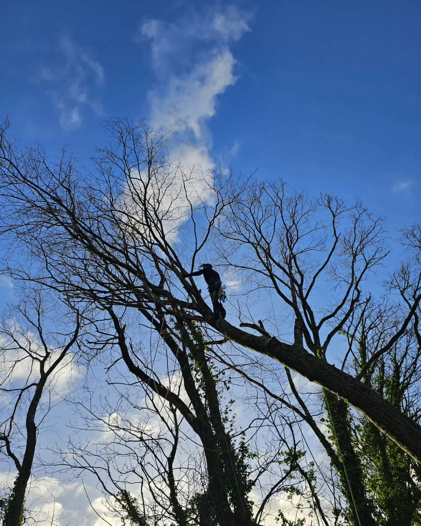 Another photo from more storm work