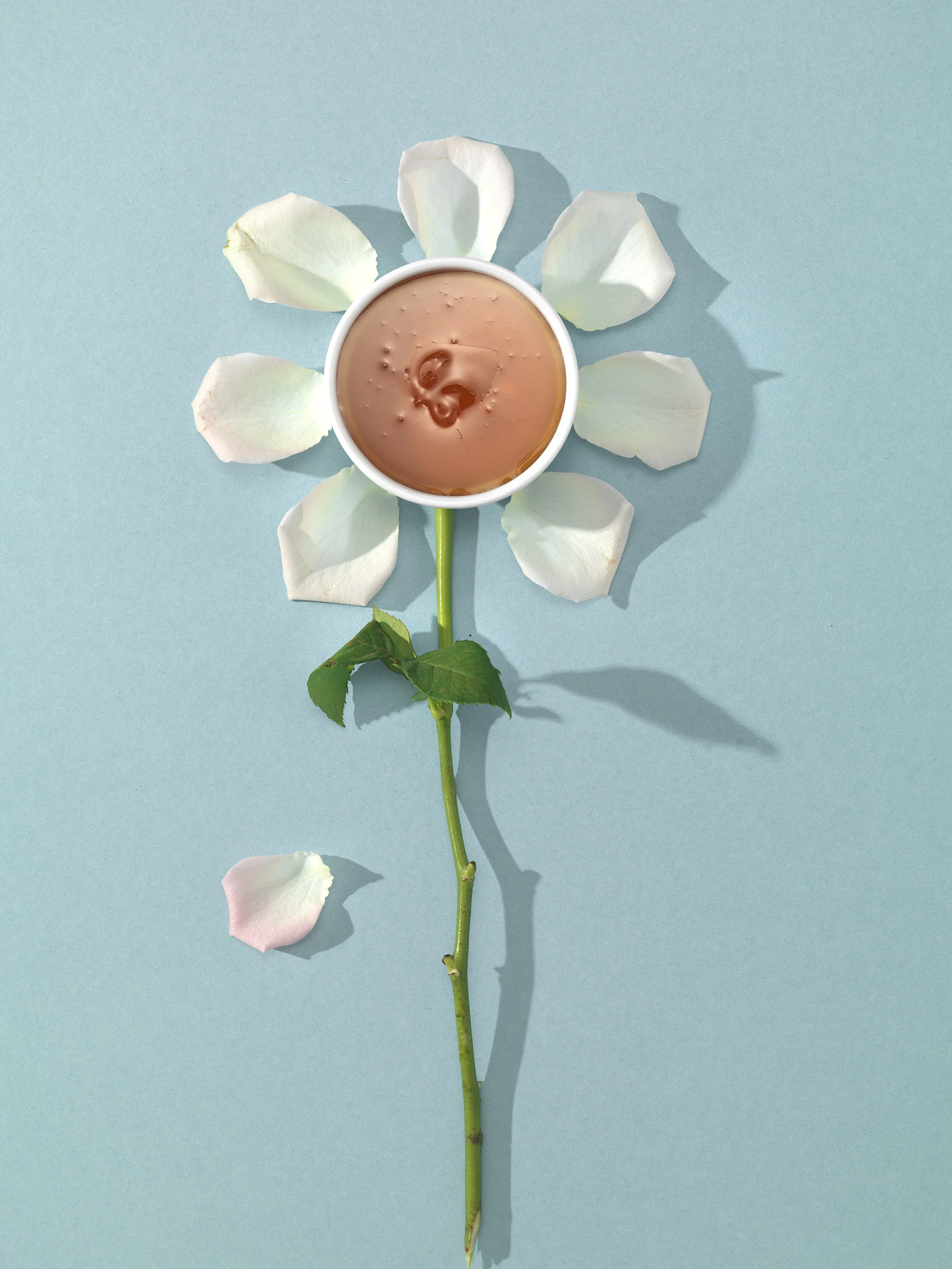 Honningblomst 2.jpg