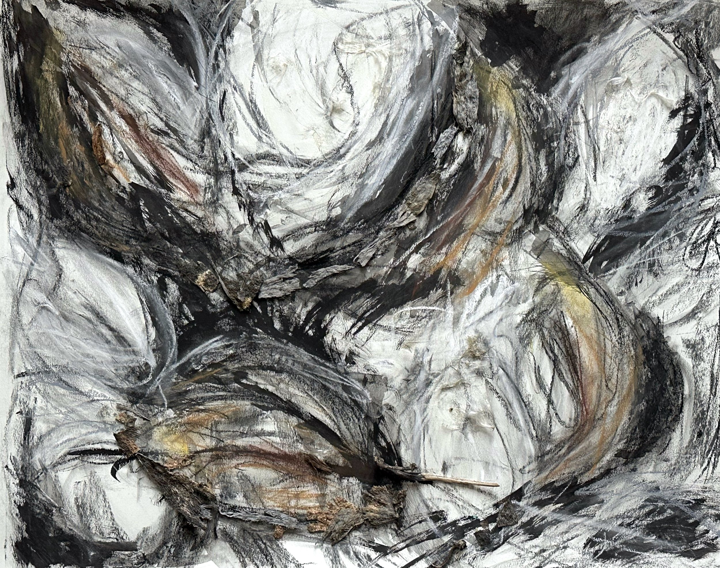    Milkweed  ,  2026.  Charcoal, ink, graphite, pastel, and plant material on paper. 18”H x 24”W. NFS 