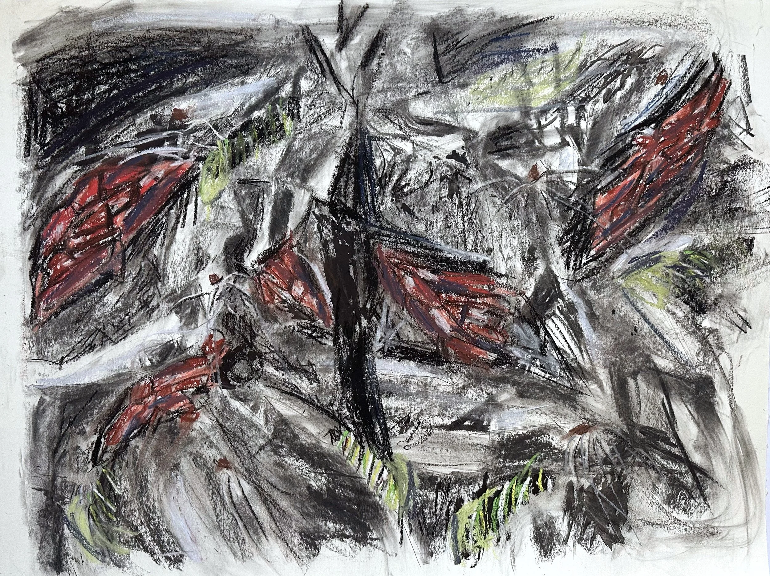    Monarch,    2026.  Charcoal, ink, graphite, pastel on paper. 18”H x 24”W. NFS 
