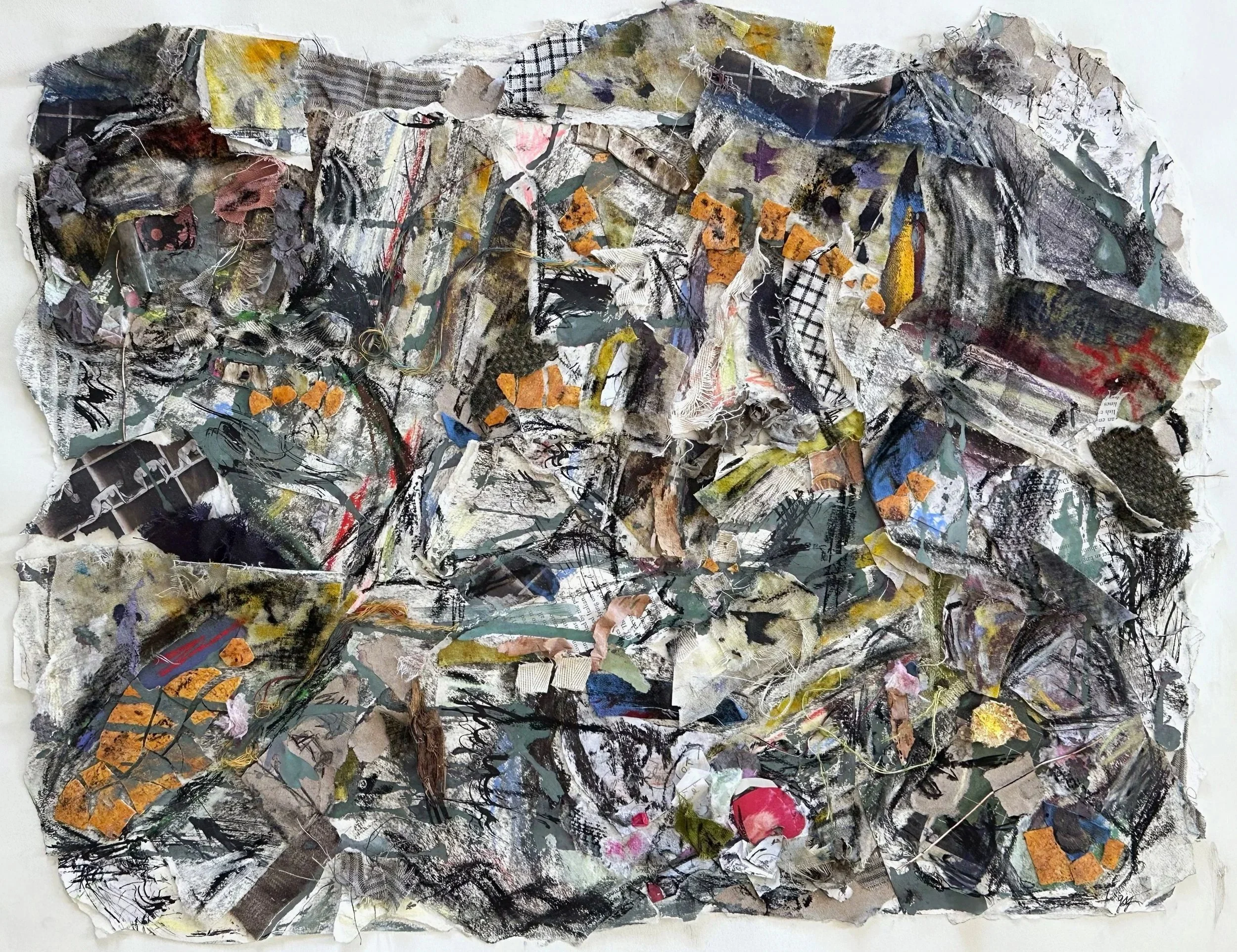    Garden I   , 2026.  Charcoal, gouache, ink, pastel, paper, textile, plastic, gelatin, copper, and plant material on paper. 18”H x 24”W. NFS 