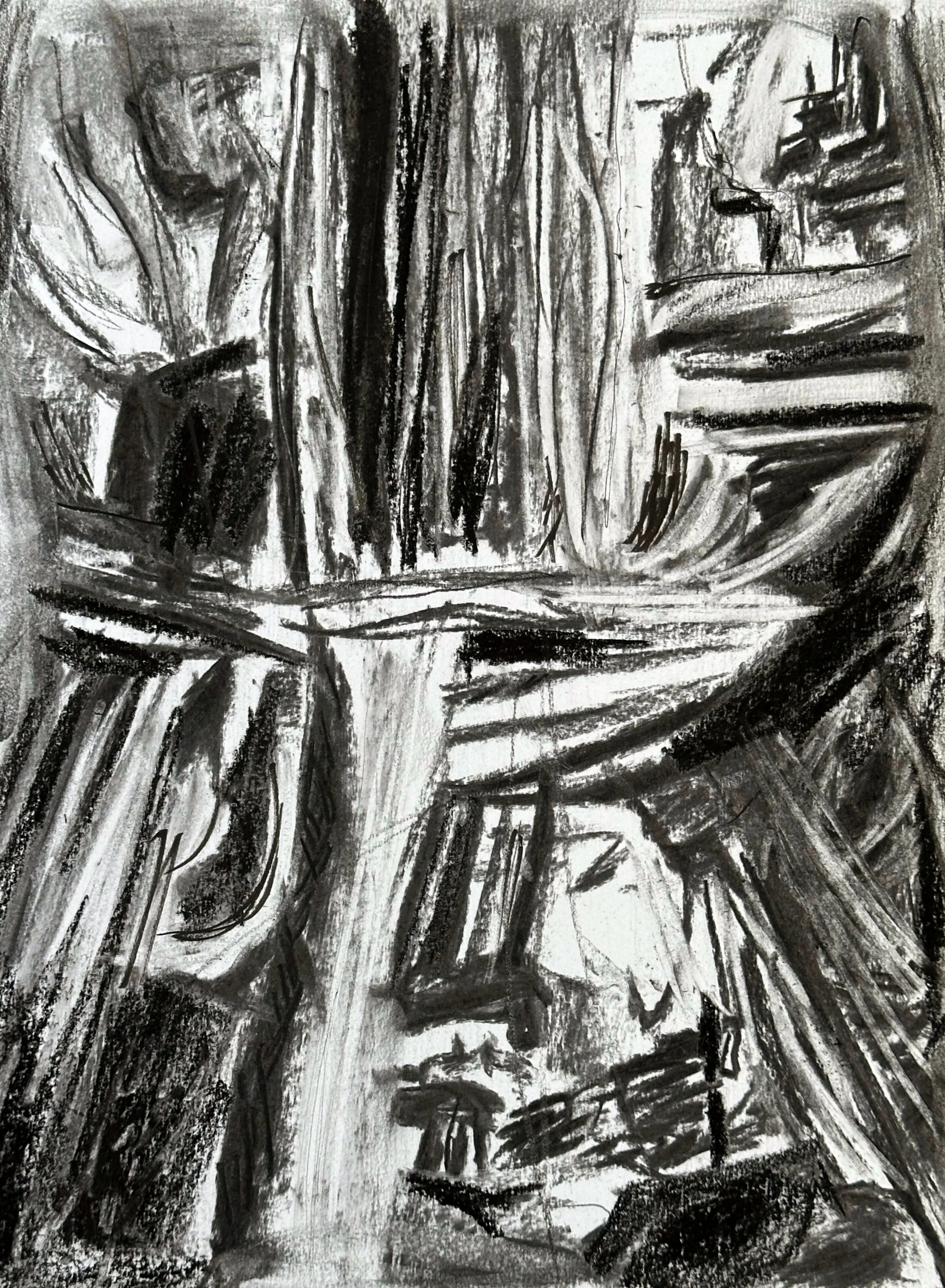    Reflections   , 2026.  Charcoal on paper. 12”H x 9”W. NFS 