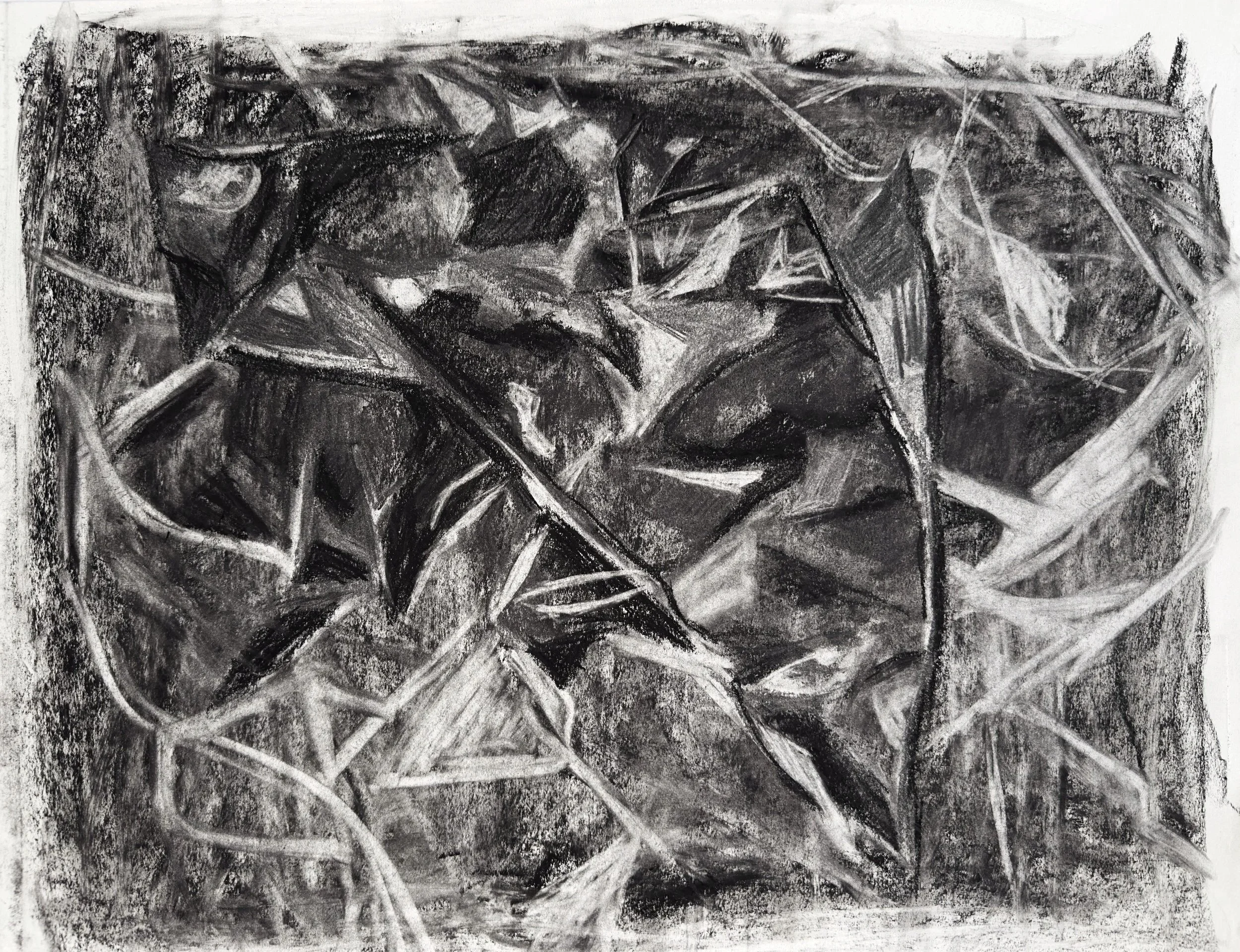    Foil   , 2026 . Charcoal on paper. 18”H x 24”W. NFS 