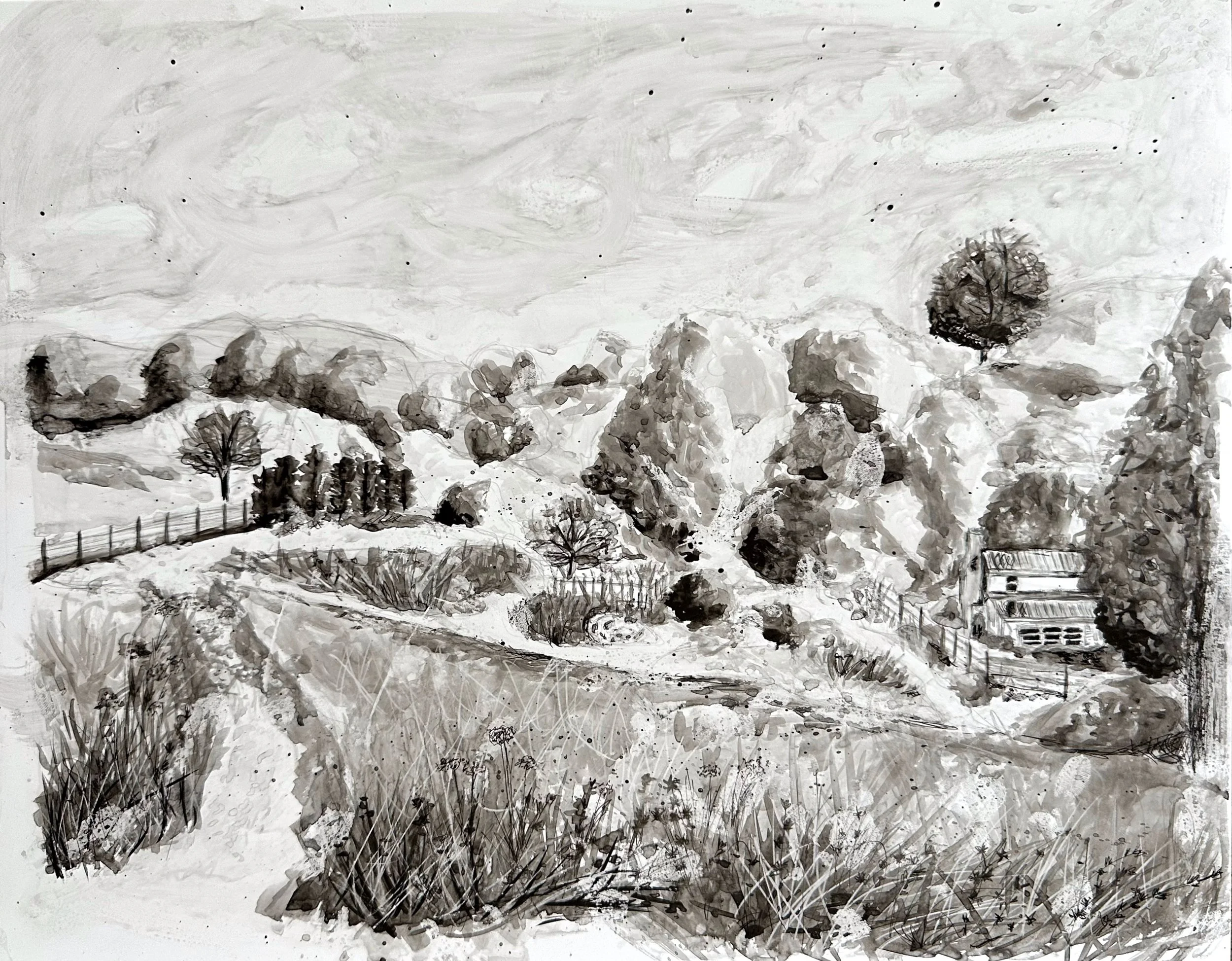    In the Meadow   , 2025.  Graphite and ink on paper. 9”H x 12”W. NFS 