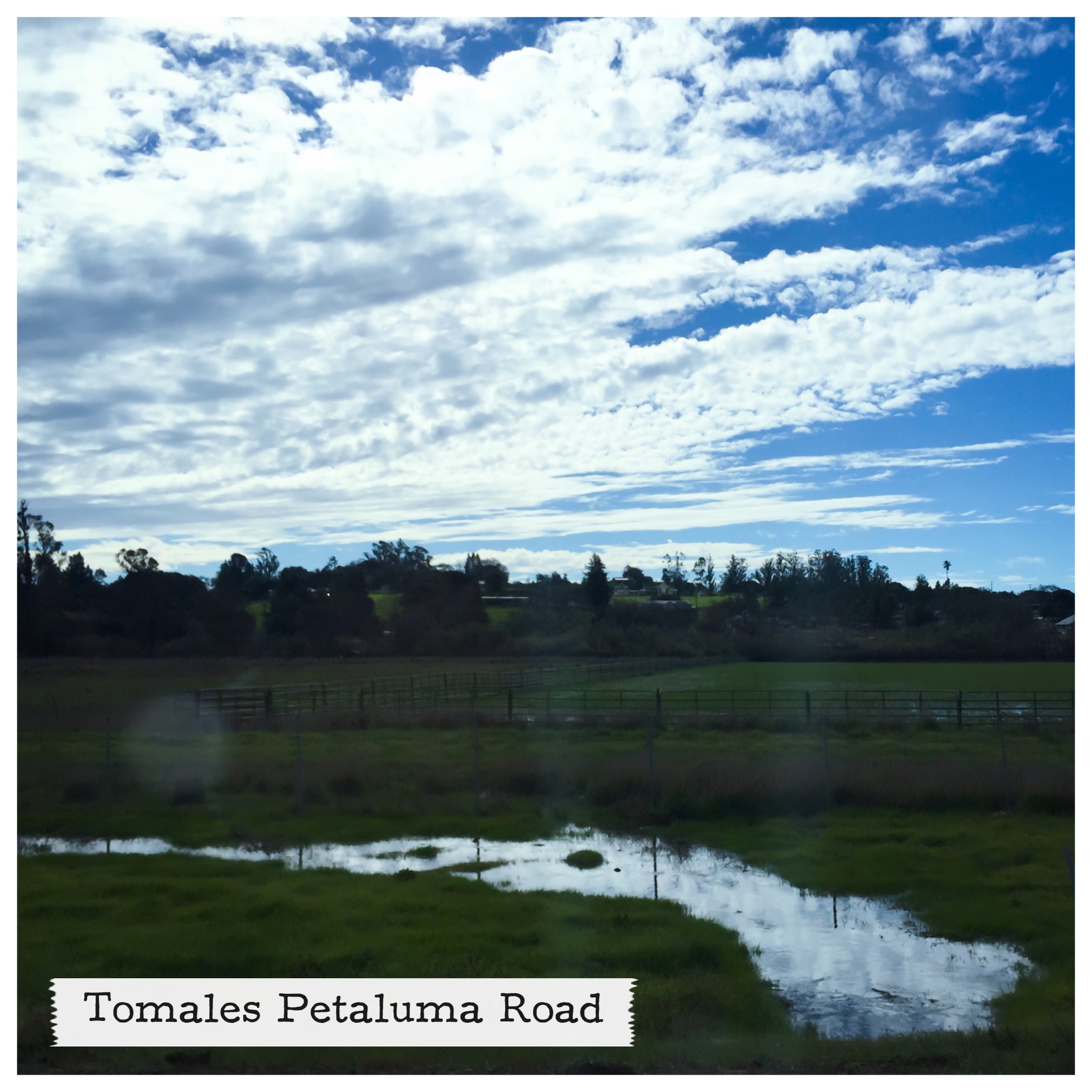 Drive east along Tomales Petaluma Road