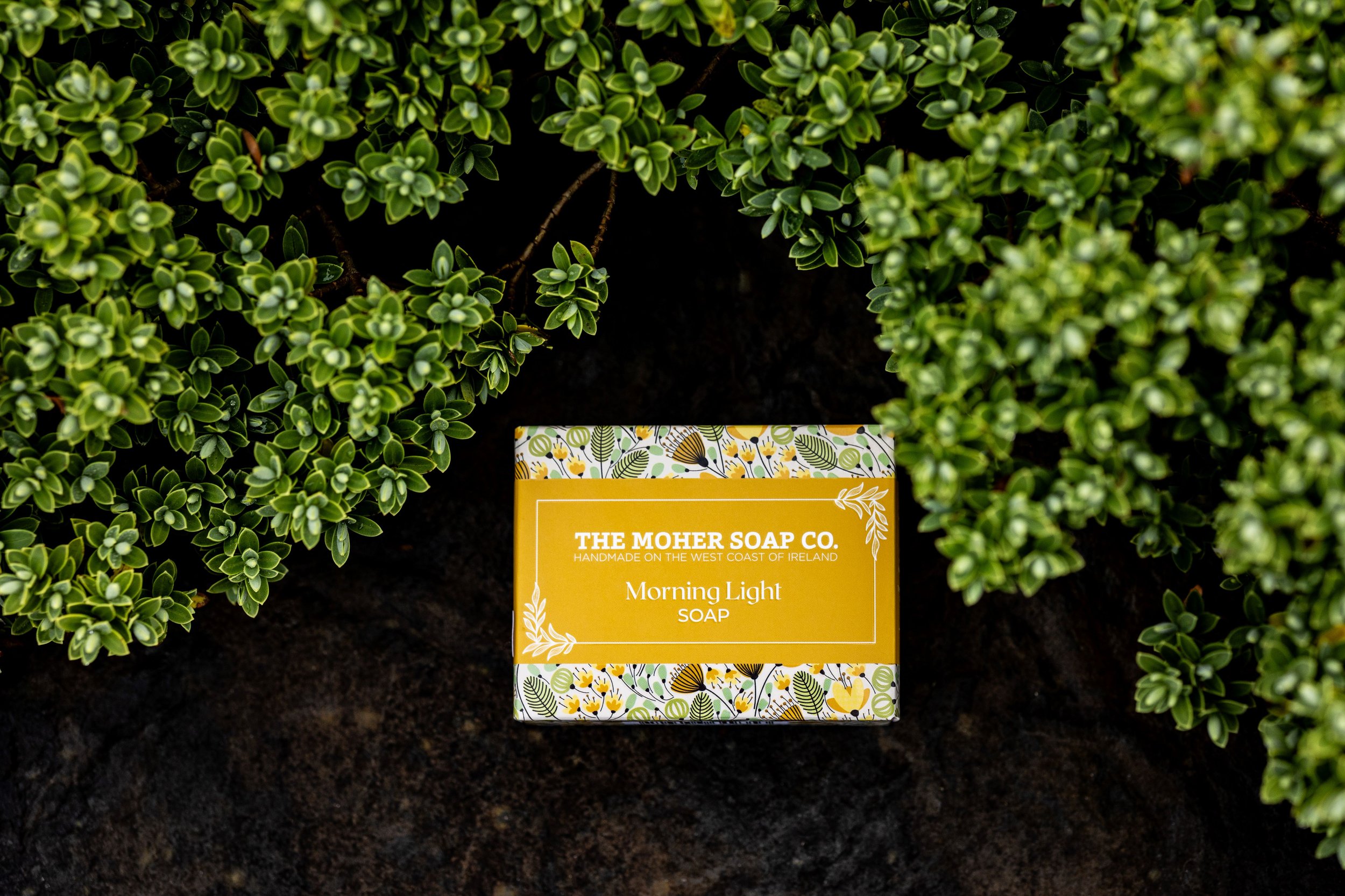 Moher Soap_Morning Light WEB.jpg