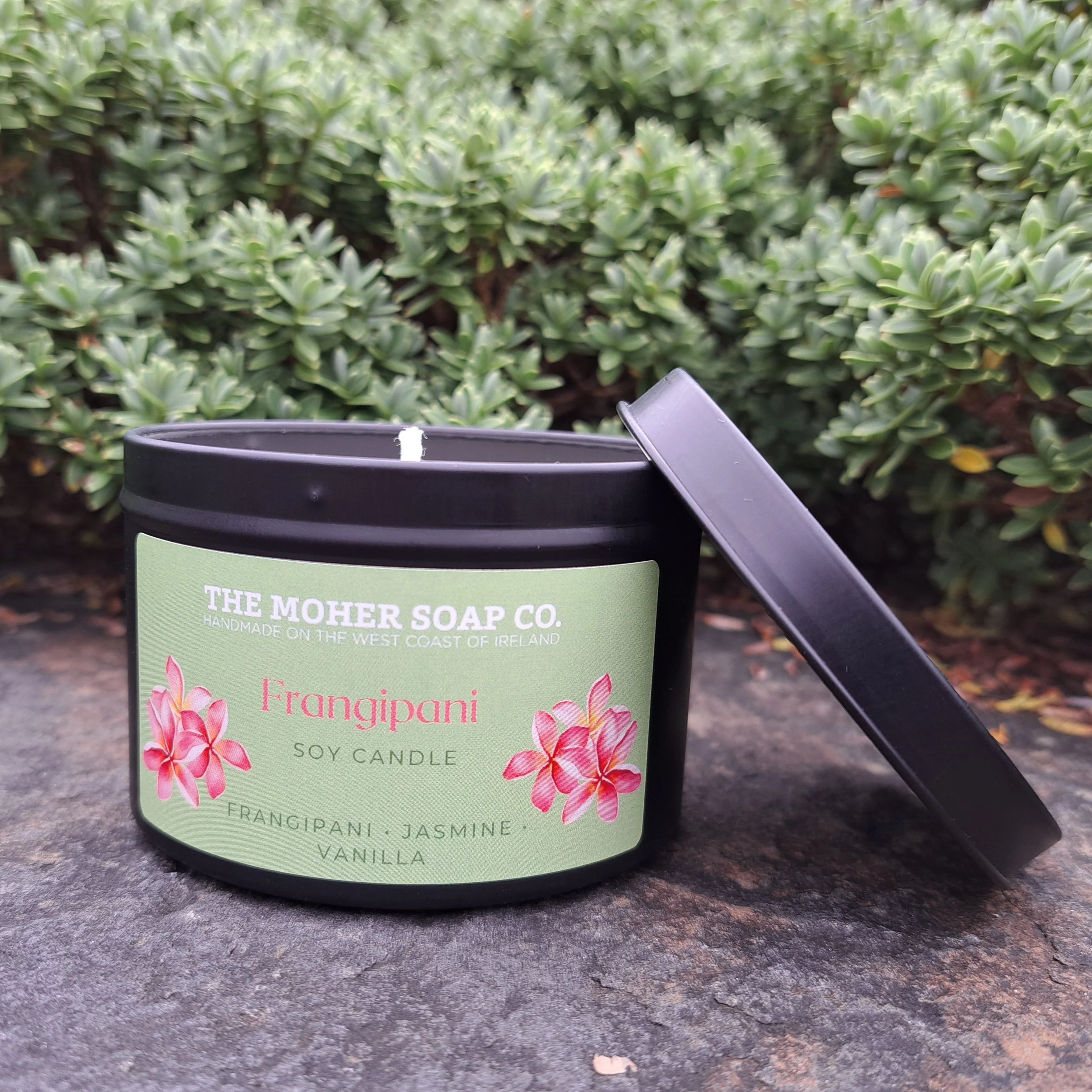 LIMITED EDITION: Frangipani