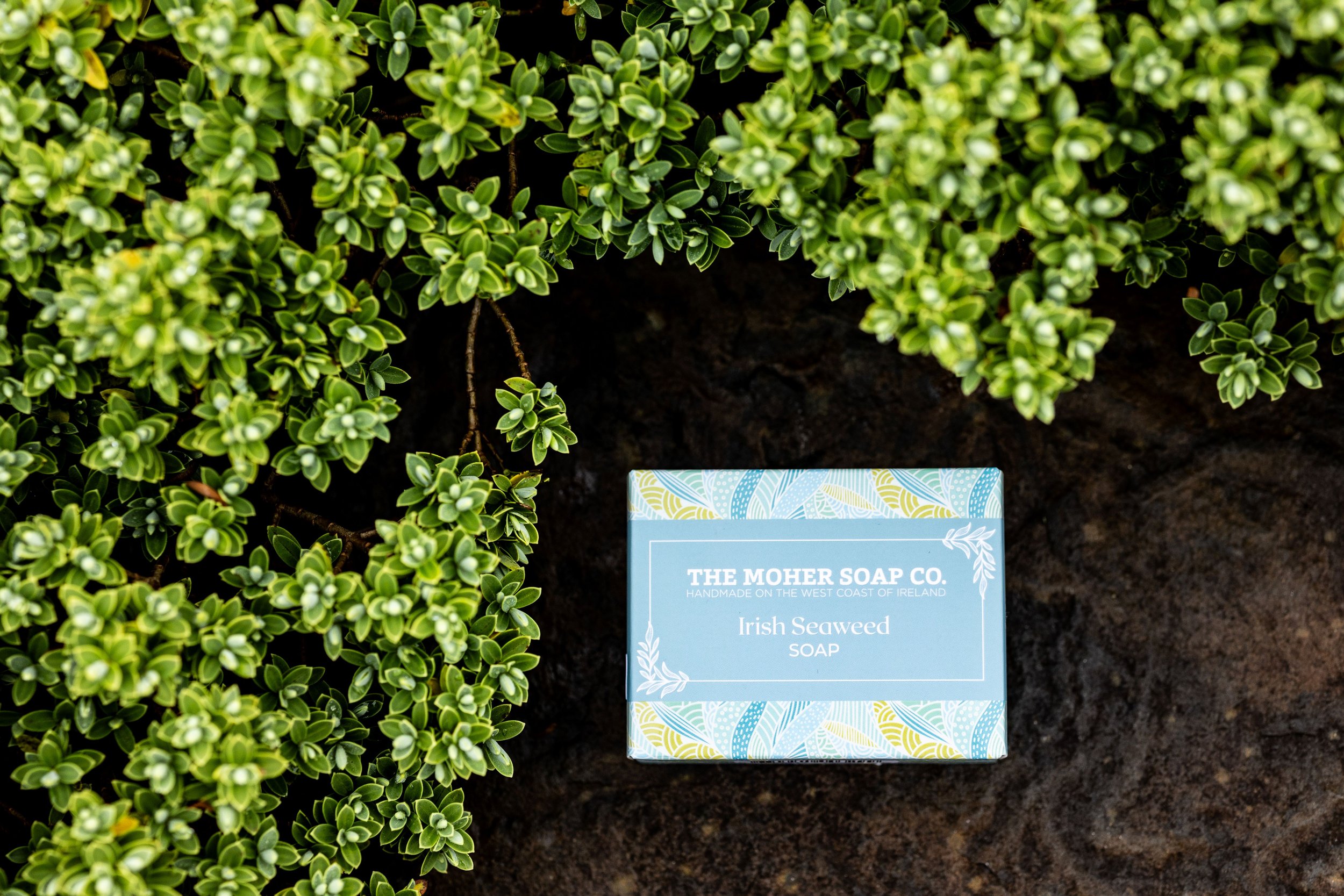 Moher Soap_Irish Seaweed_WEB.jpg