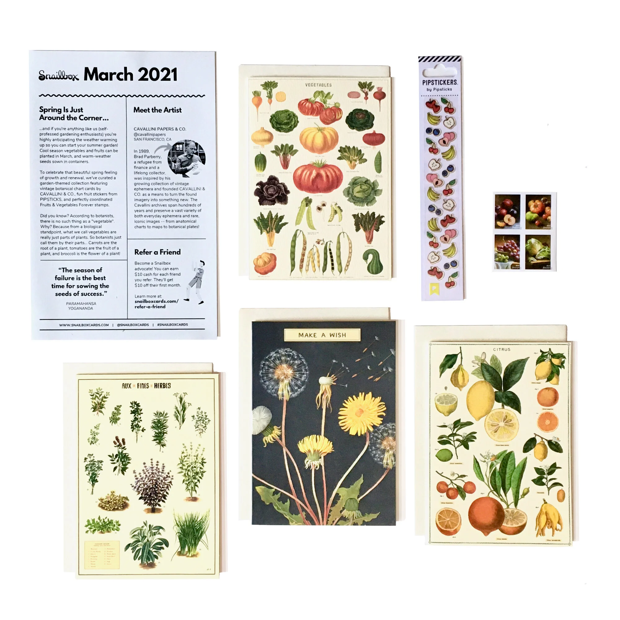 March 2021 - Cavallini