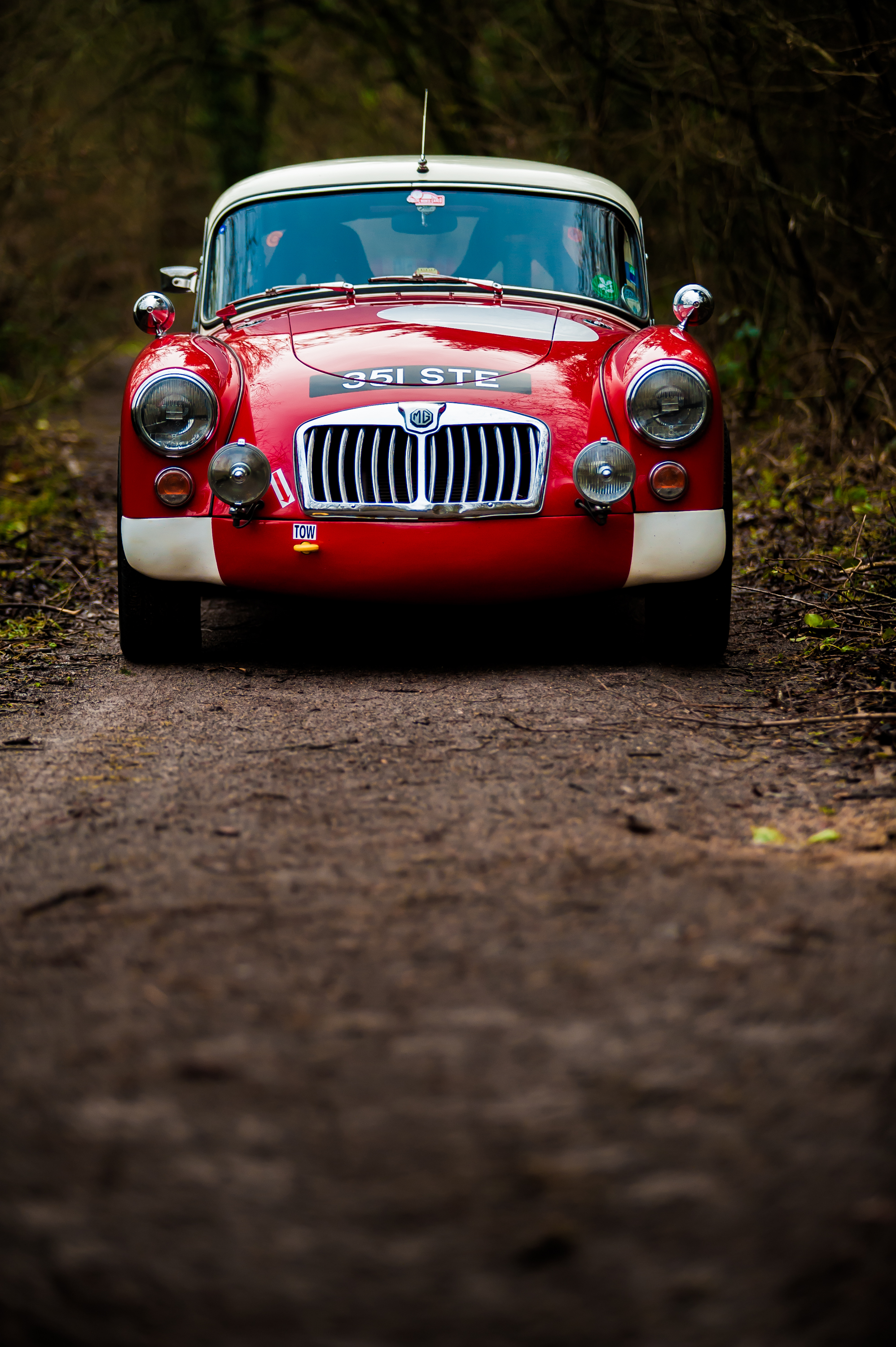 rally-MGA-hi-res-2.jpg