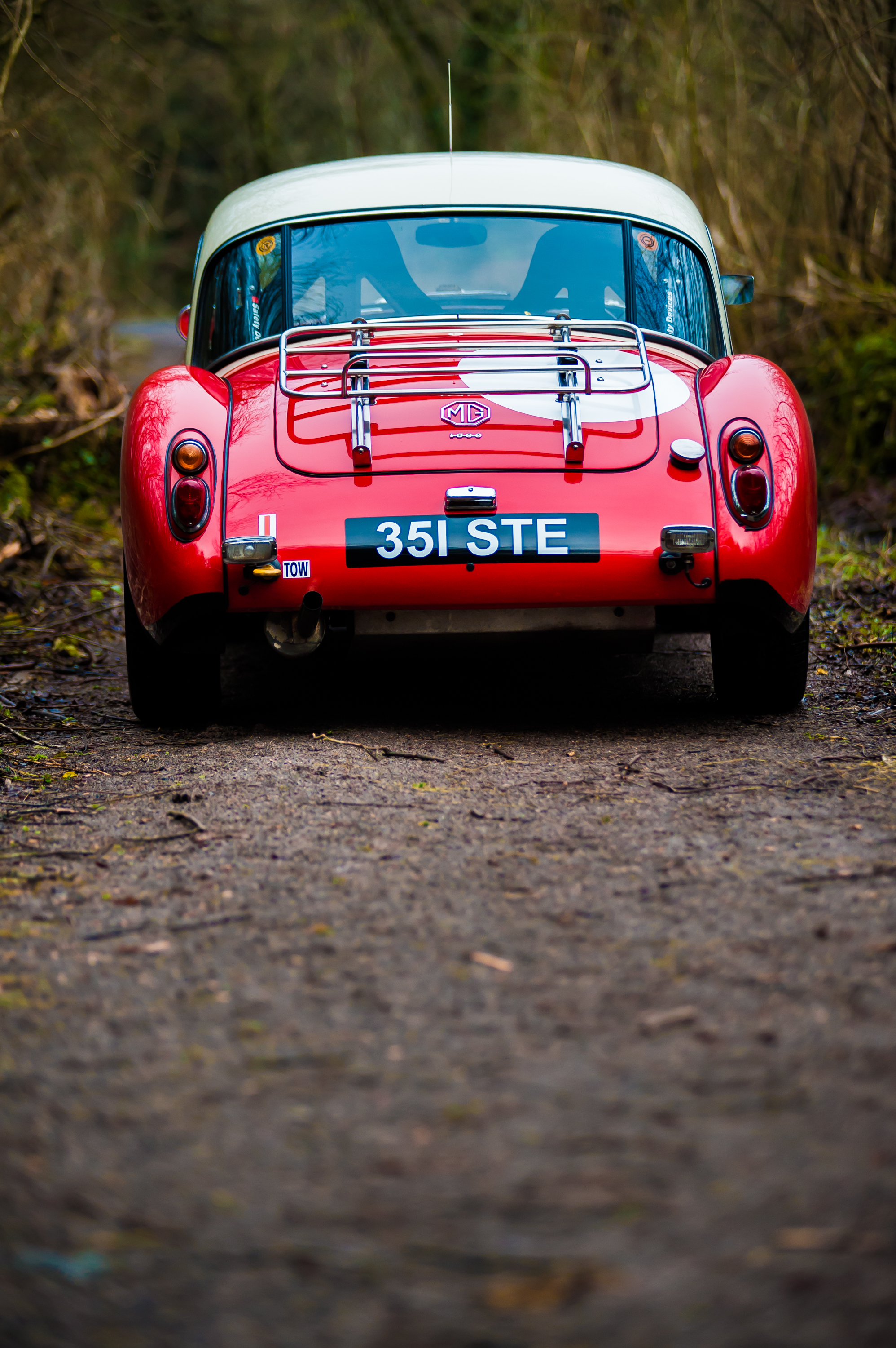 rally-MGA-hi-res-10.jpg