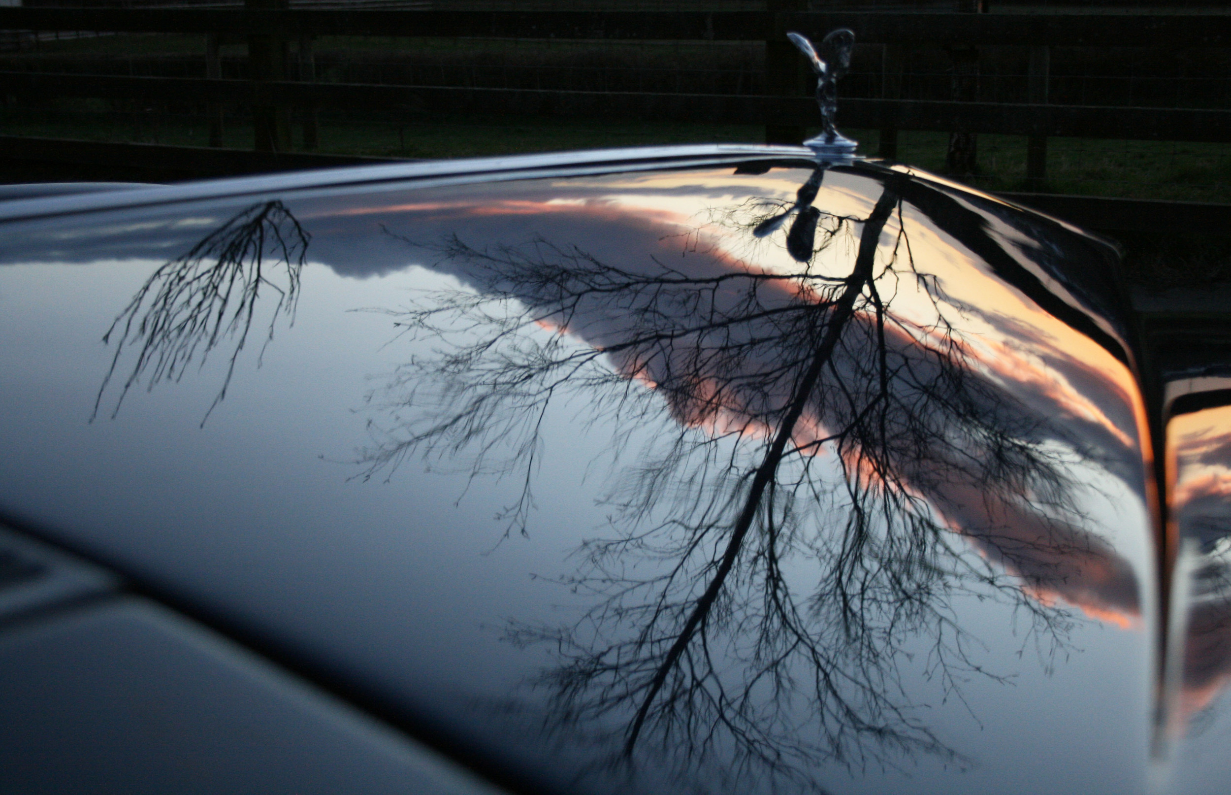 bonnet reflection.jpg