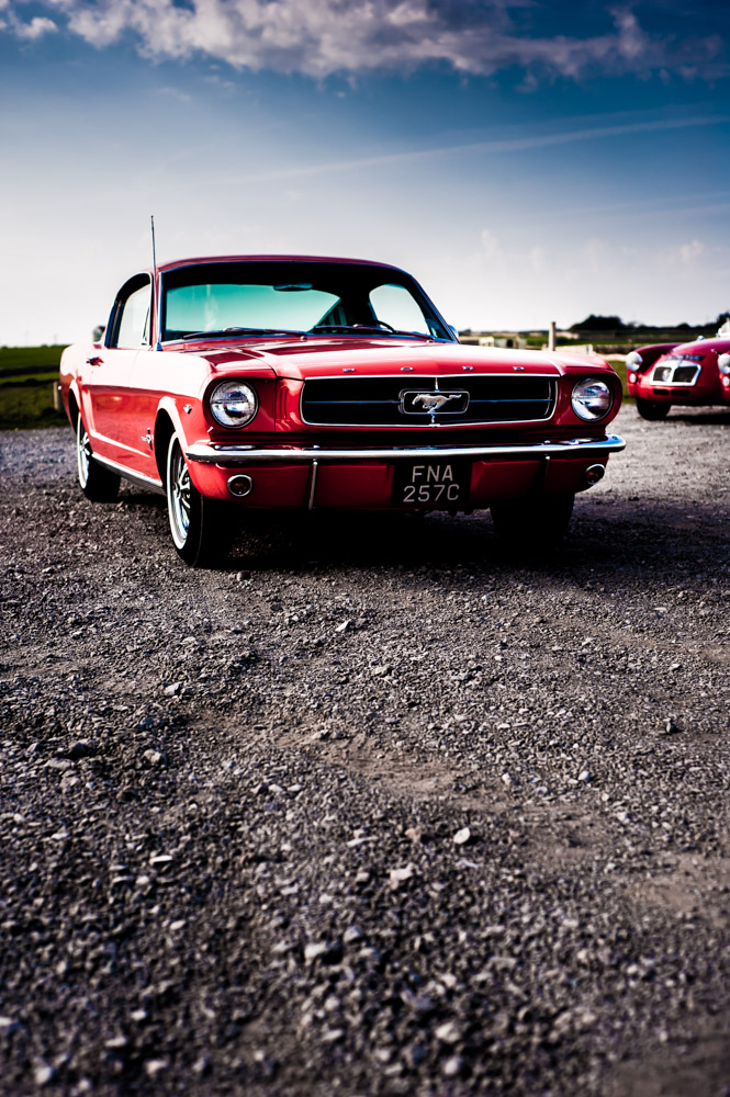 mustang-low-res-30.jpg