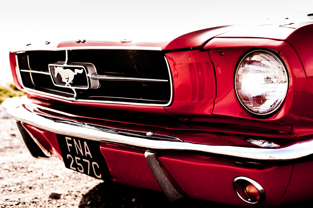 mustang-low-res-25.jpg