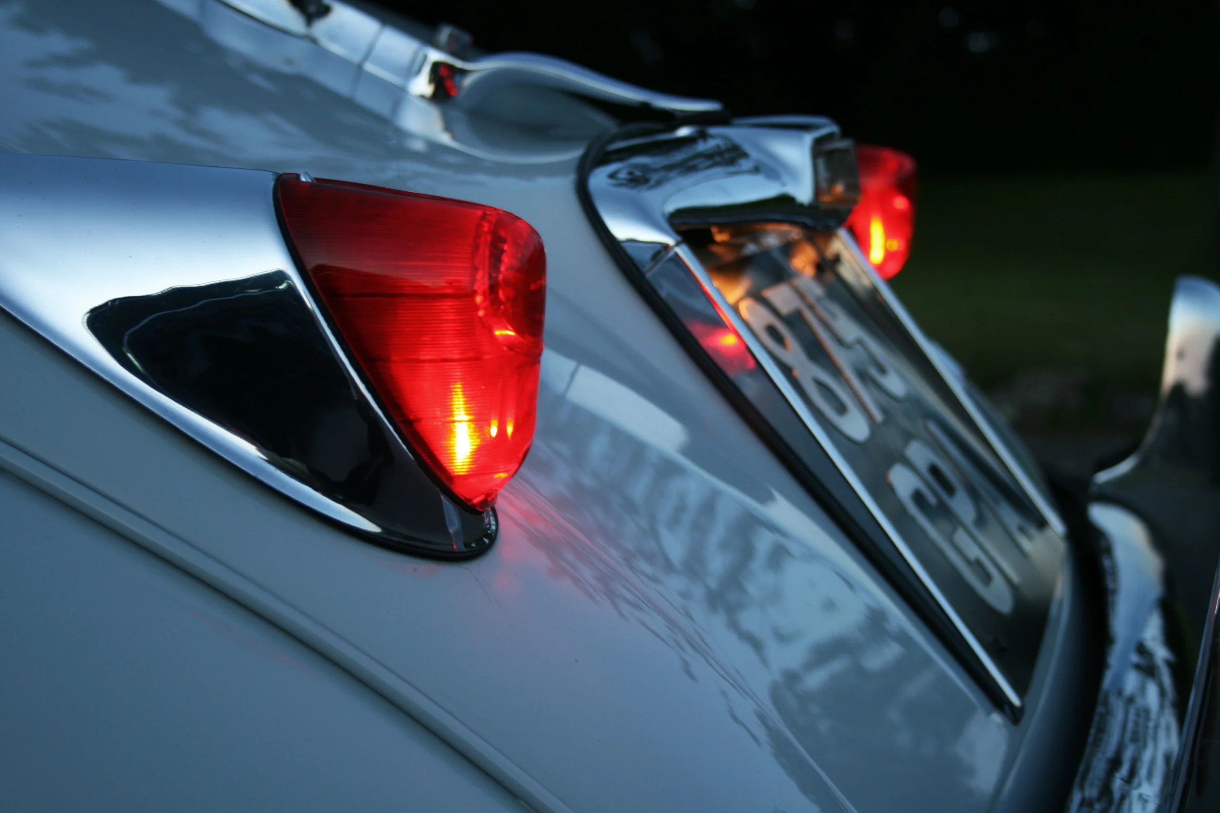 A new big cat has arrived...