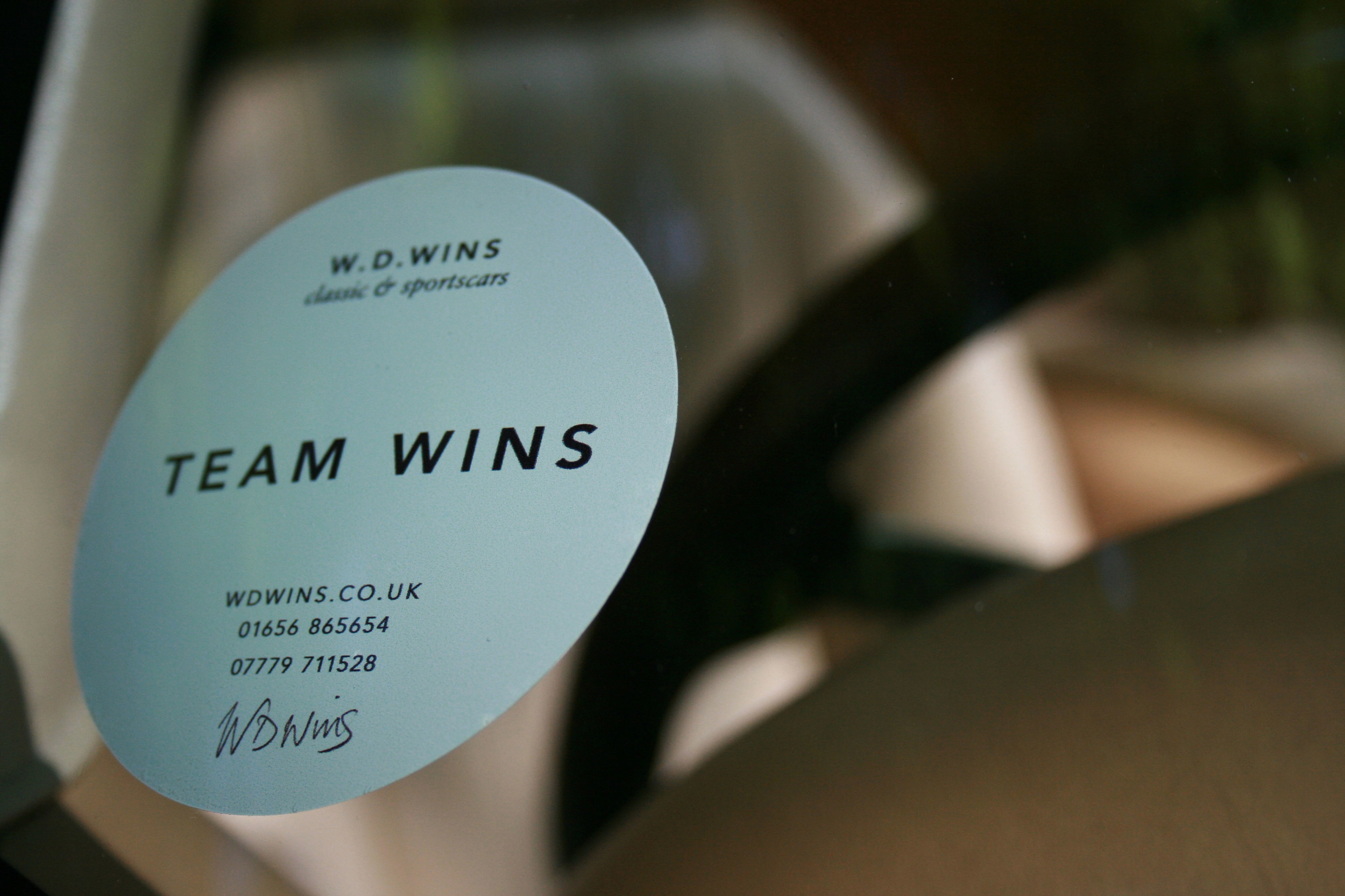 teamwins sticker.jpg