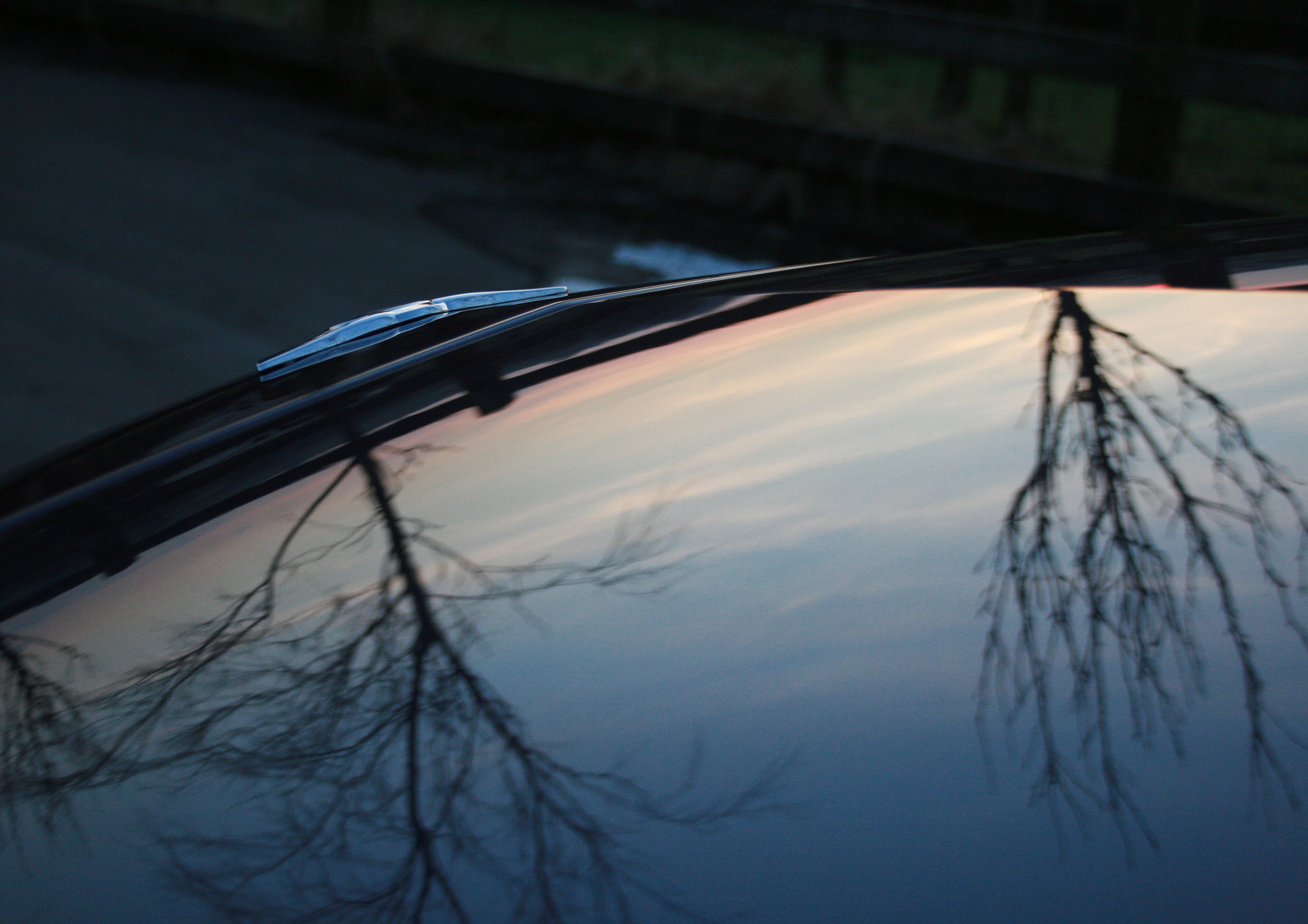 bonnet detail.jpg