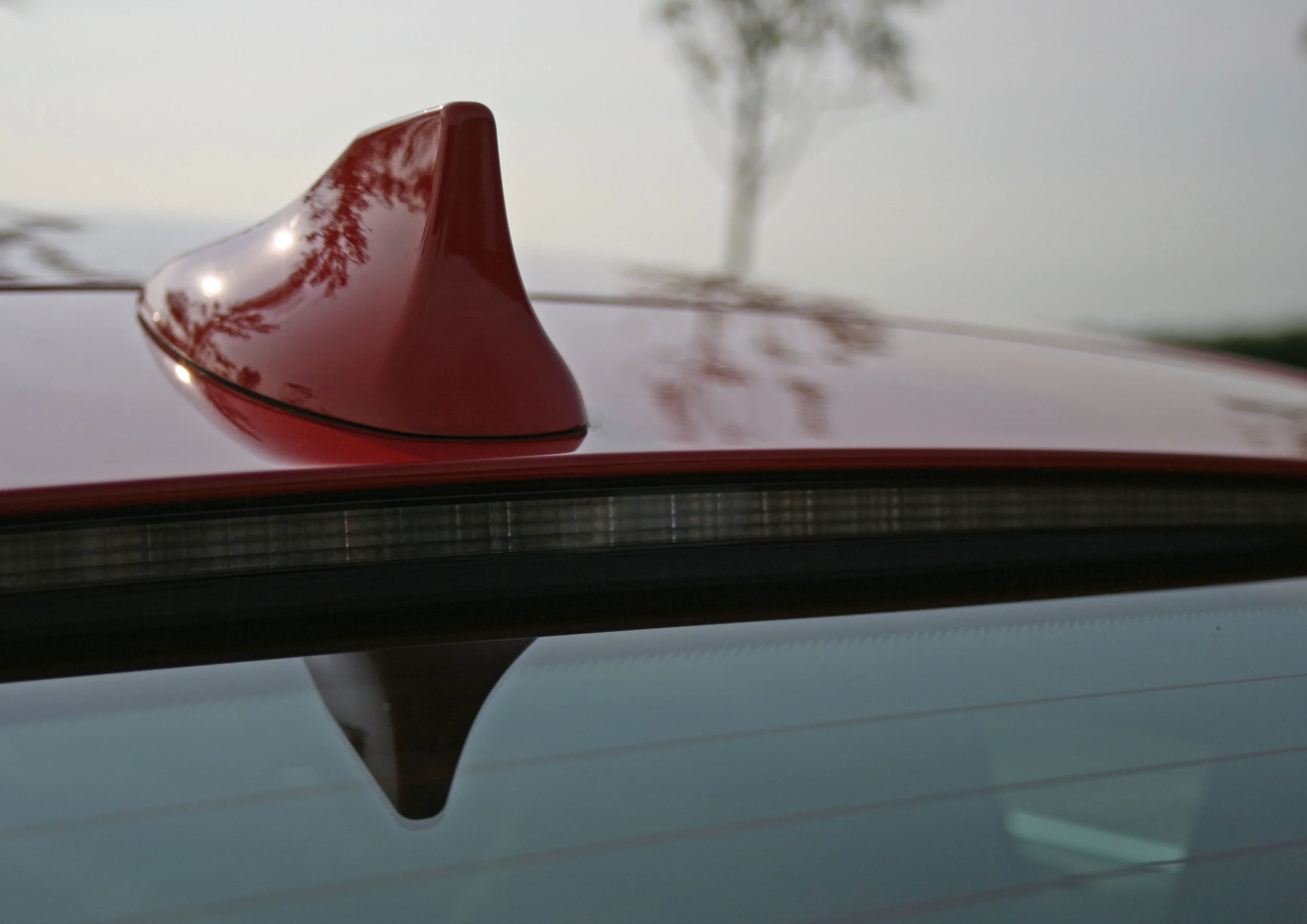 DETAIL FIN.jpg