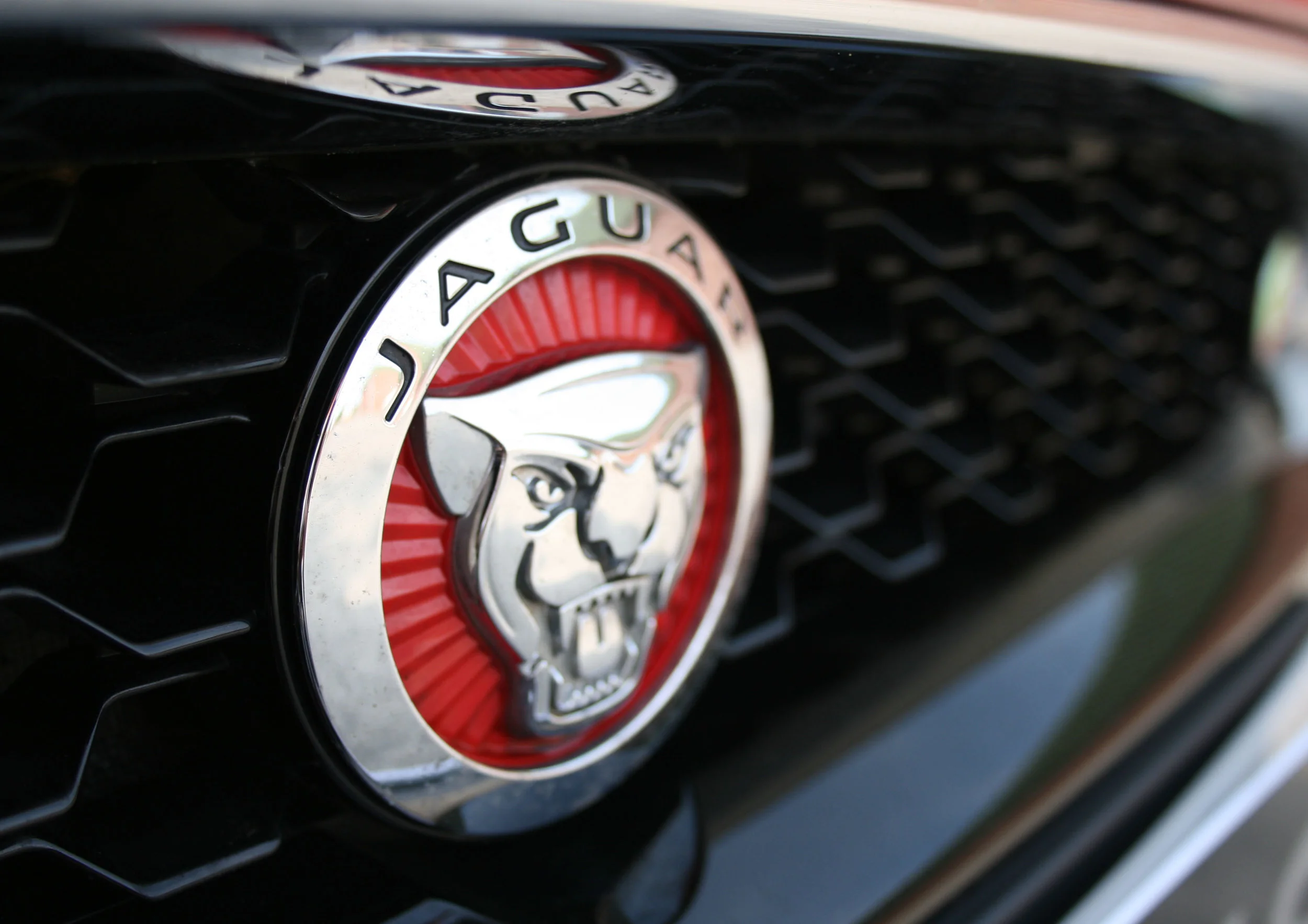 DETAIL FRONT JAG GROWLER.jpg