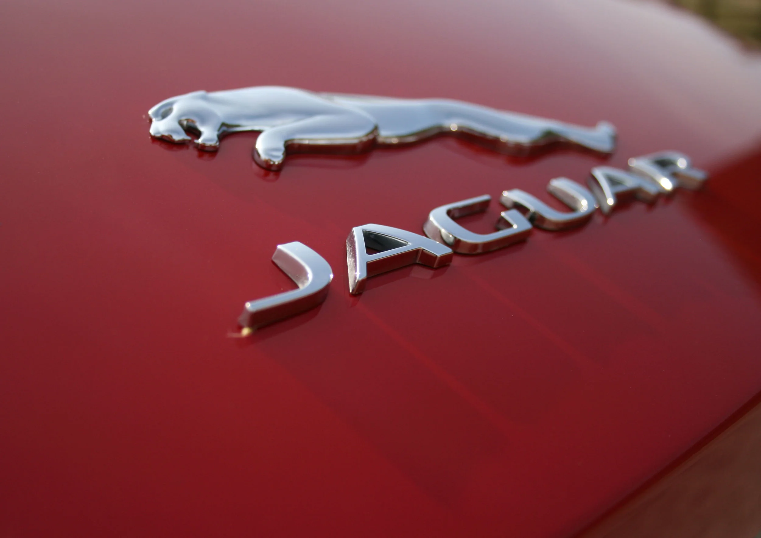 DETAIL REAR JAG BADGE.jpg