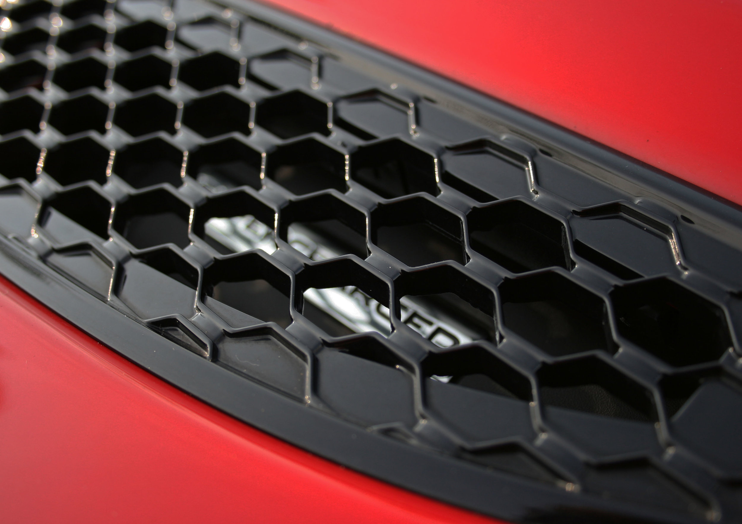 DETAIL SC GRILLE.jpg