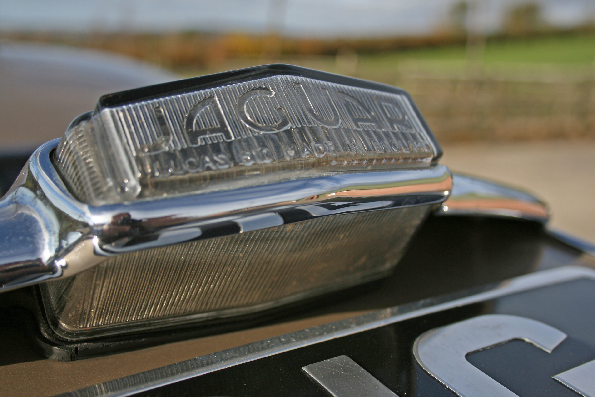 DETAIL REVERSE LIGHT.jpg