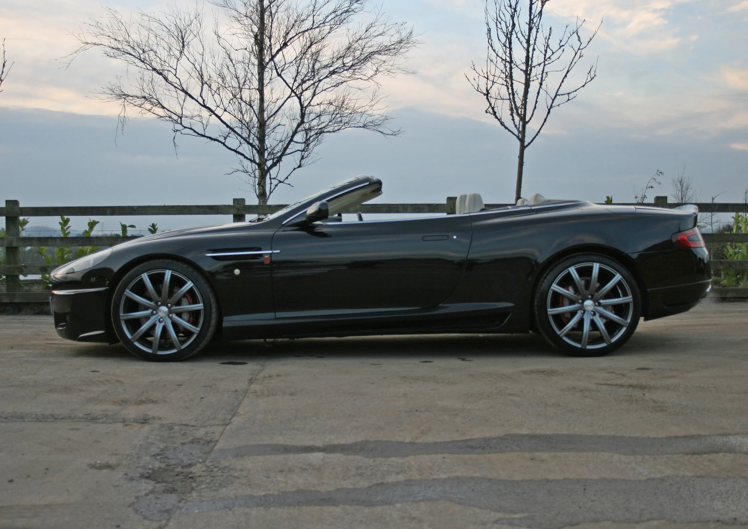 SIDE LEFT TOPLESS.jpg
