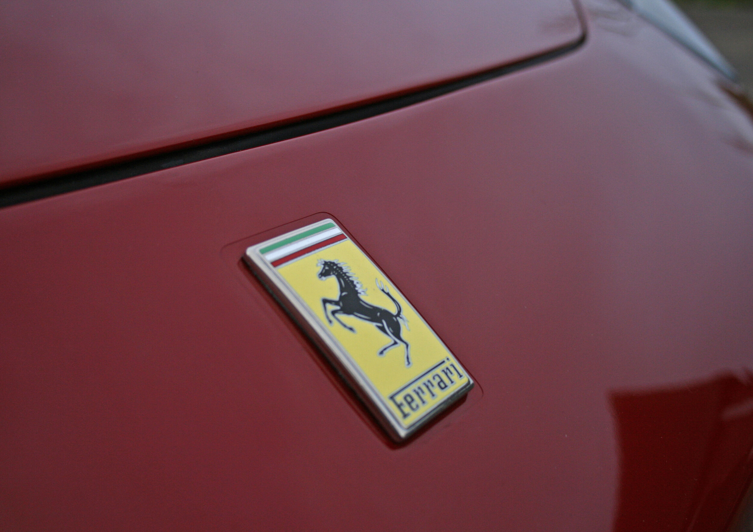 DETAIL FRONT BADGE.JPG