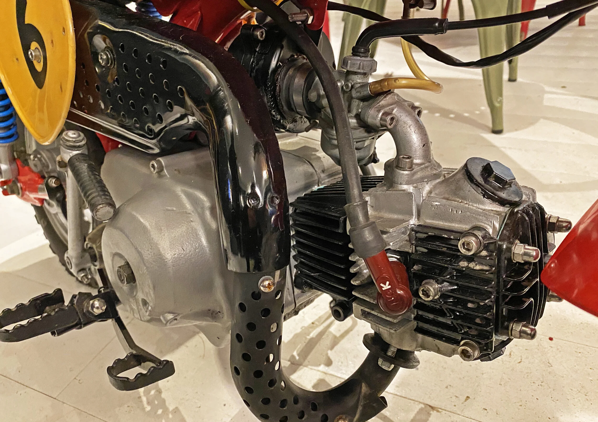 1981 HONDA Z50 MONKEY BIKE — W.D.WINS