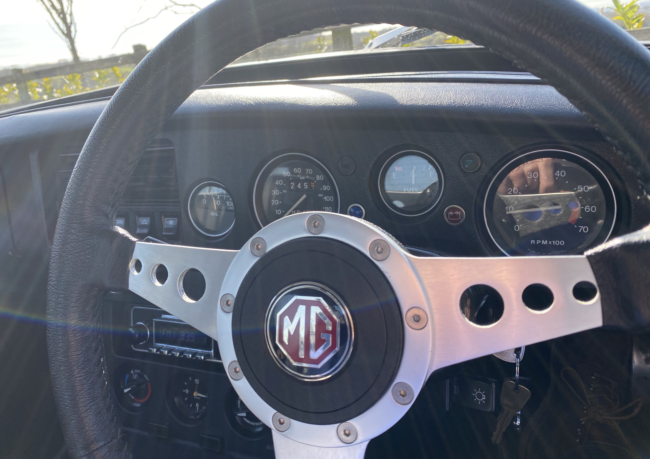 INTERIOR STEERING WHEEL.jpg